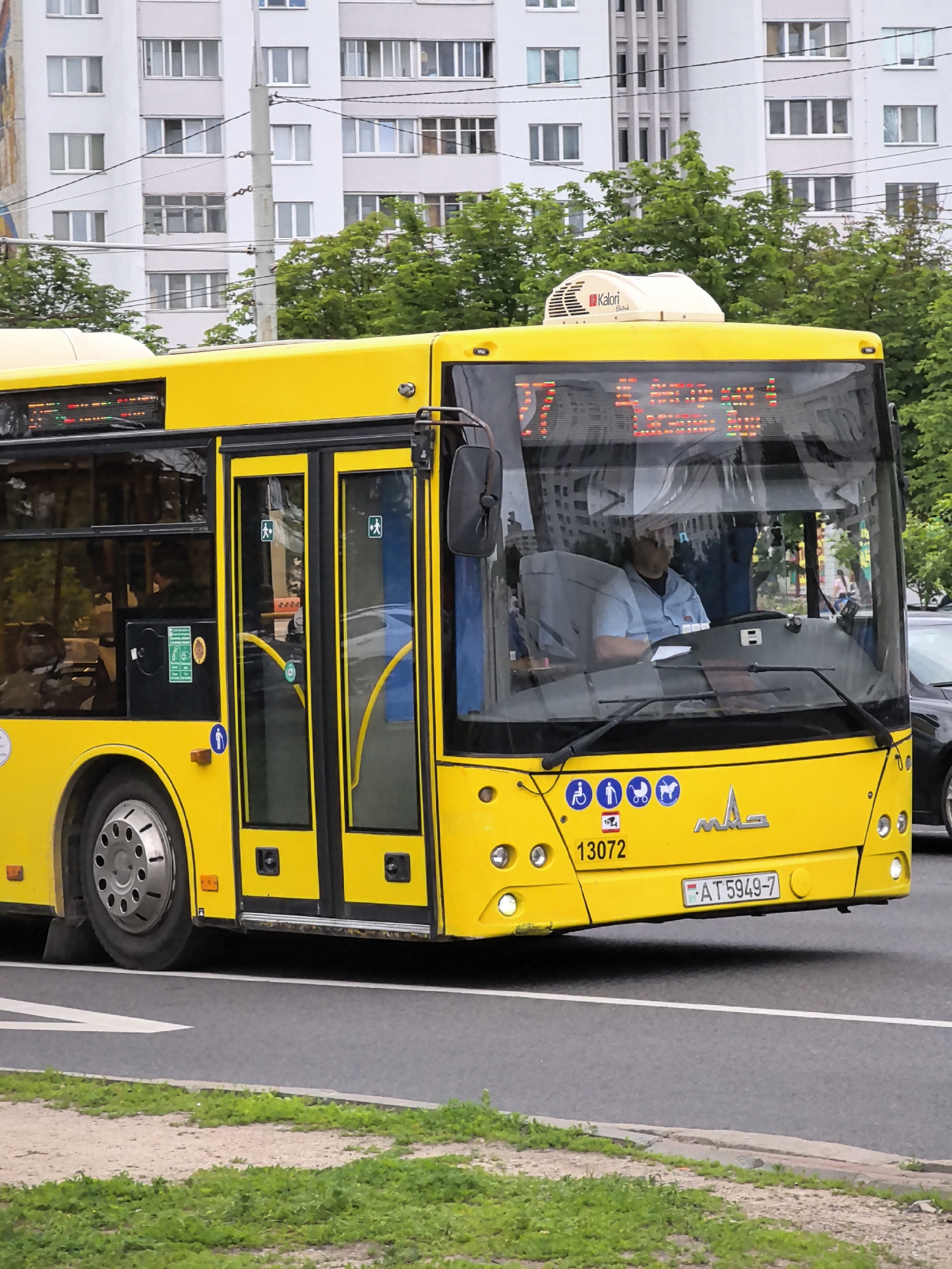 A bright yellow public bus, identified by the number 13072 and the markings "MAS" on its front, is captured in motion on an urban street. The bus displays route information on a digital screen at the front. A driver, wearing a light blue shirt, is visible behind the wheel. The bus features several pictograms indicating accessibility for people with disabilities, a stroller, and animals. A license plate with the characters "BY AT 5949-7" is affixed to the front. In the background, a multi-story building with numerous windows and trees can be seen. The bus is traveling on a paved road with a grassy verge and a sidewalk.
