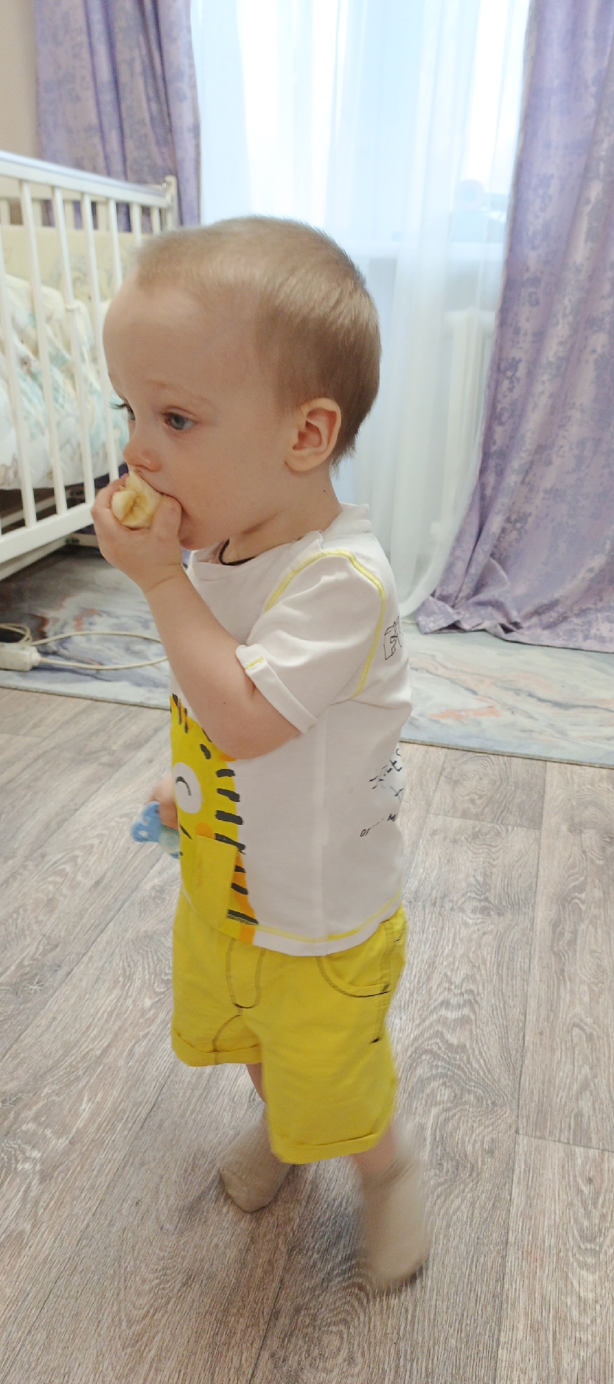 A toddler is standing on a wooden floor, eating a piece of banana. The child is wearing a white t-shirt with a yellow tiger graphic on the front, yellow shorts, and light brown socks. Behind the child are a white baby crib, a light blue and white rug, and purple curtains. The photograph was taken indoors, in Chaikovsky, Russia.