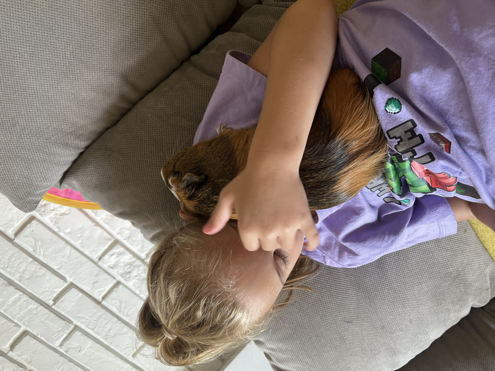 A young girl with blonde hair pulled into a ponytail is lying on her side on a grey couch, holding a guinea pig close to her chest. The girl is wearing a purple t-shirt with a Minecraft design. The guinea pig is brown and black with orange markings. The background shows a white brick wall and part of a yellow surface.