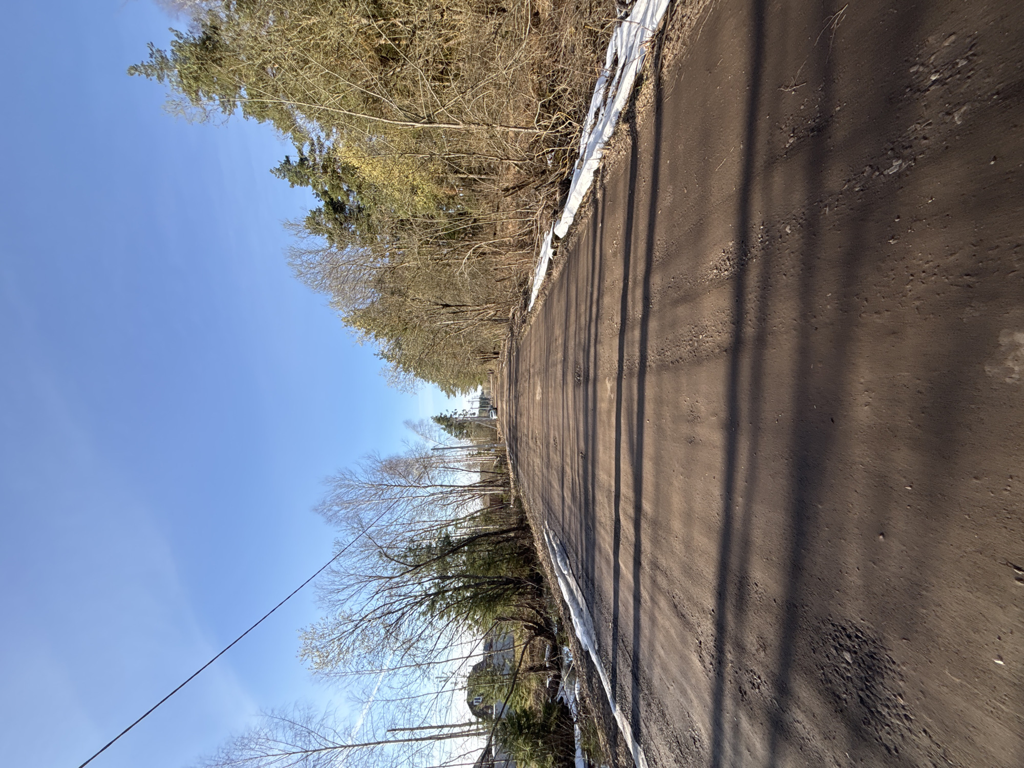 The image depicts a dirt road in Раздолье, Russia, alongside a wooded area on both sides. Patches of melting snow are visible near the road edges. Tree shadows cast long lines across the road surface. In the distance, a few houses can be seen. The sky is clear and blue. An overhead power line extends from the left side of the frame.