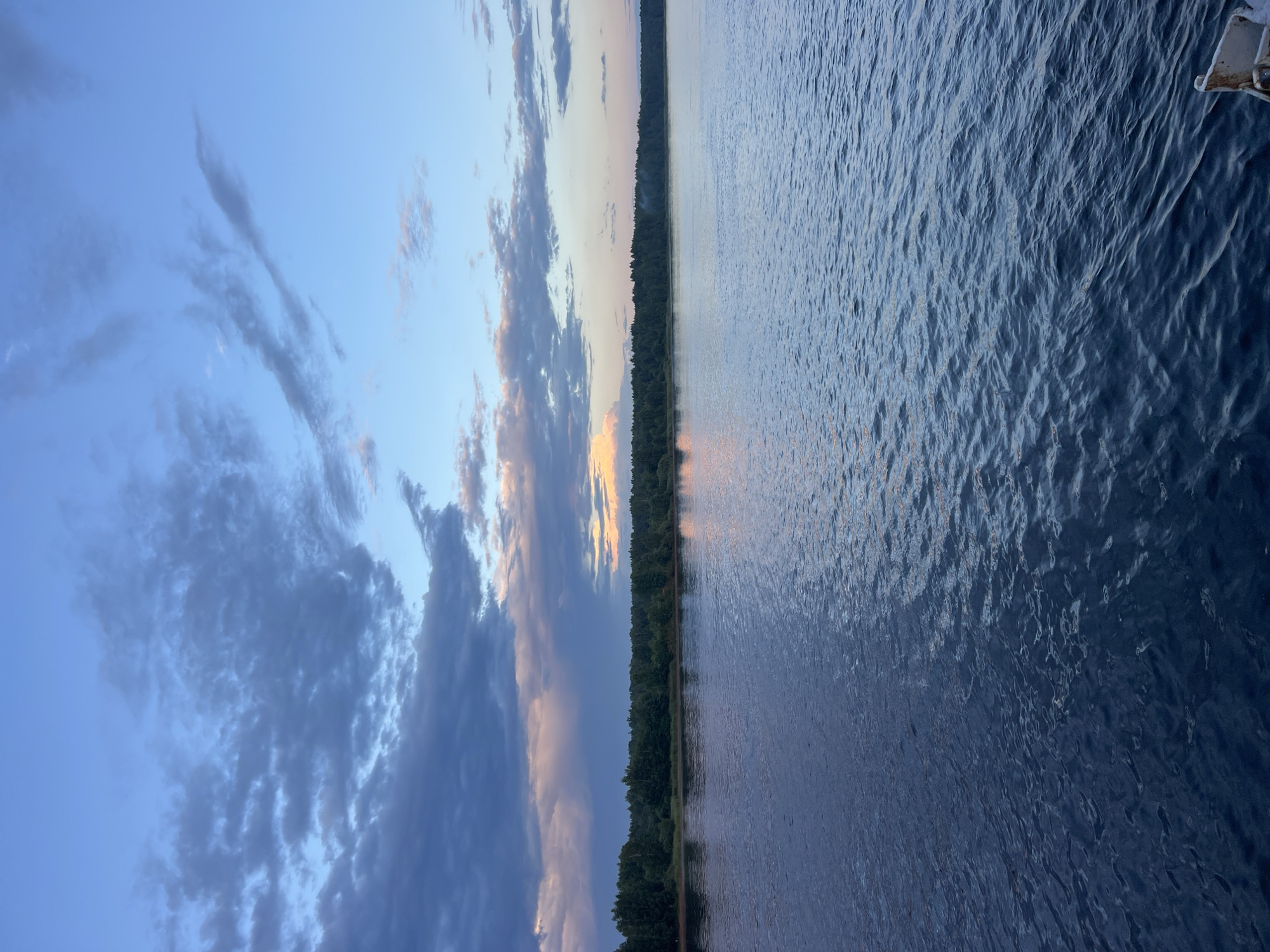 The image depicts a serene waterfront scene at dusk in Nevskaya Dubrovka, Russia. A vast expanse of calm, dark blue water occupies the foreground, with gentle ripples reflecting the muted colors of the sky. In the middle ground, a dense line of dark green trees forms the shoreline, suggesting a forested area. The sky above is a gradient of deep blue, transitioning to lighter shades near the horizon. Scattered clouds, some dark and ominous, others wispy and light, are present throughout the sky. A faint glow of orange and pink hues is visible on the horizon, indicating the setting sun. The overall atmosphere is tranquil and natural, characteristic of a quiet evening by the water. There are no people or specific man-made structures prominently visible, other than a small portion of a white railing or structure in the bottom right corner, possibly part of a boat or dock.