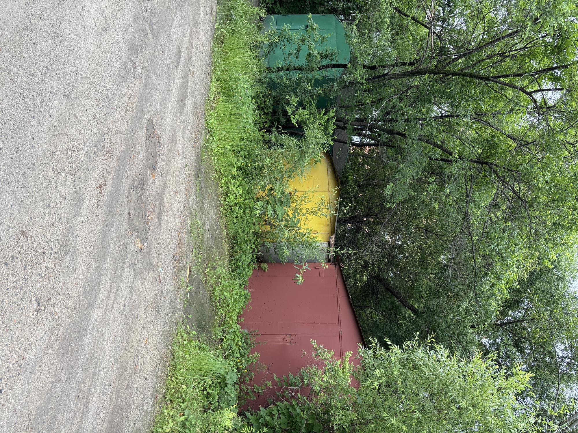The image depicts a scene in Blagoveshchensk, Russia, featuring a row of three metal garages partially obscured by overgrown vegetation. From left to right, the garages are painted green, yellow, and red. The green garage is the furthest left and appears to be the smallest, with its doors visible. The yellow garage is situated next to it, also with visible doors. The red garage is the largest and is located on the right side of the image, its doors filling a significant portion of its facade. Lush green trees and plants surround the garages, suggesting a natural or semi-abandoned setting. A dirt and gravel road runs across the foreground, with some puddles indicating recent rainfall or damp conditions. The overall impression is one of disuse and nature reclaiming the man-made structures.