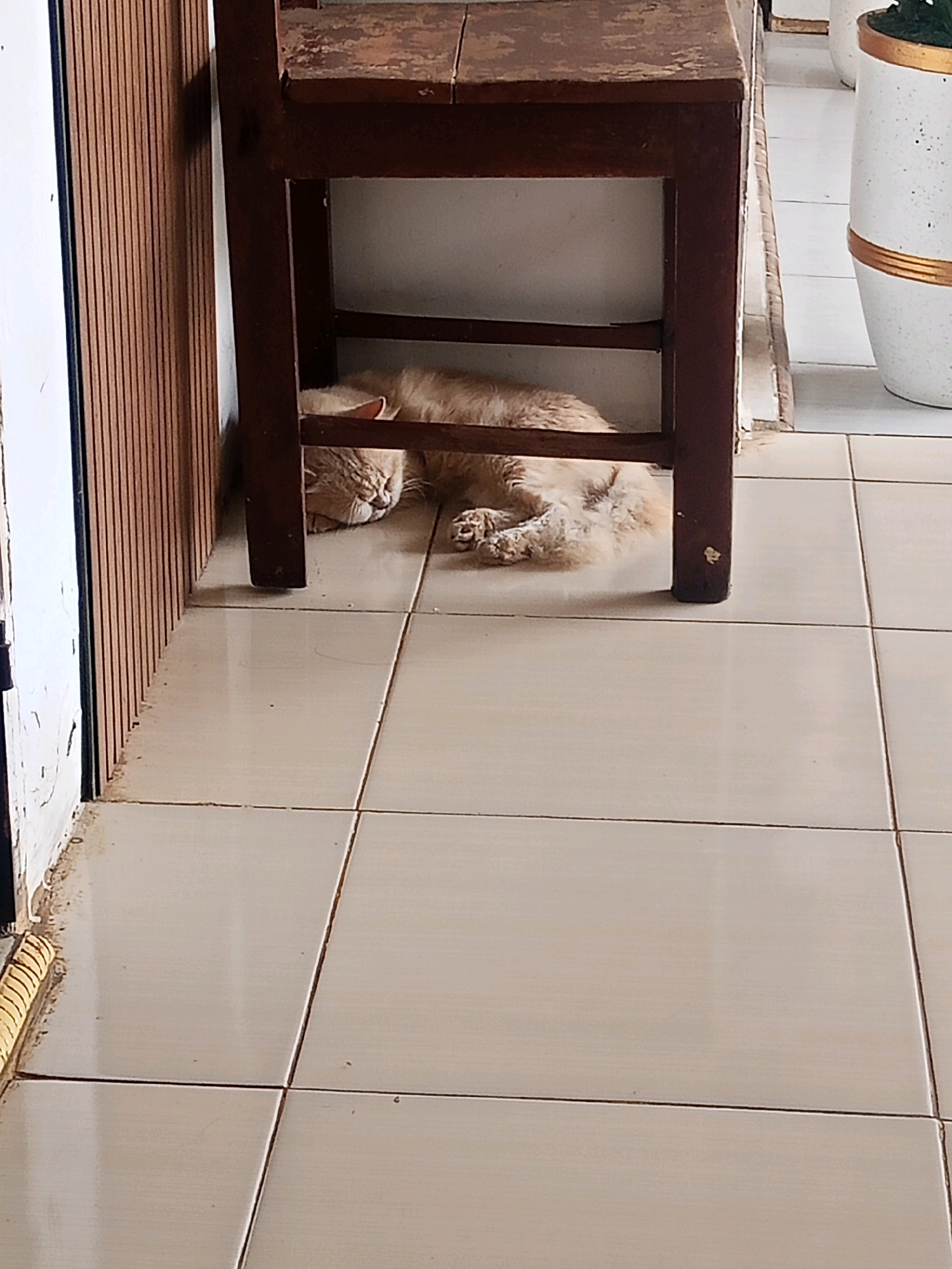A ginger cat is sleeping on a light-colored tiled floor under a dark wooden chair. The chair has a distressed wooden seat and legs. To the left of the chair is a wall with vertical wooden panels. To the right of the chair, a portion of a white decorative planter with gold bands is visible. The scene appears to be indoors, possibly in a residential setting in Lubuklinggau, Indonesia, given the tiling style and potential for indoor plants. The lighting suggests it is daytime.