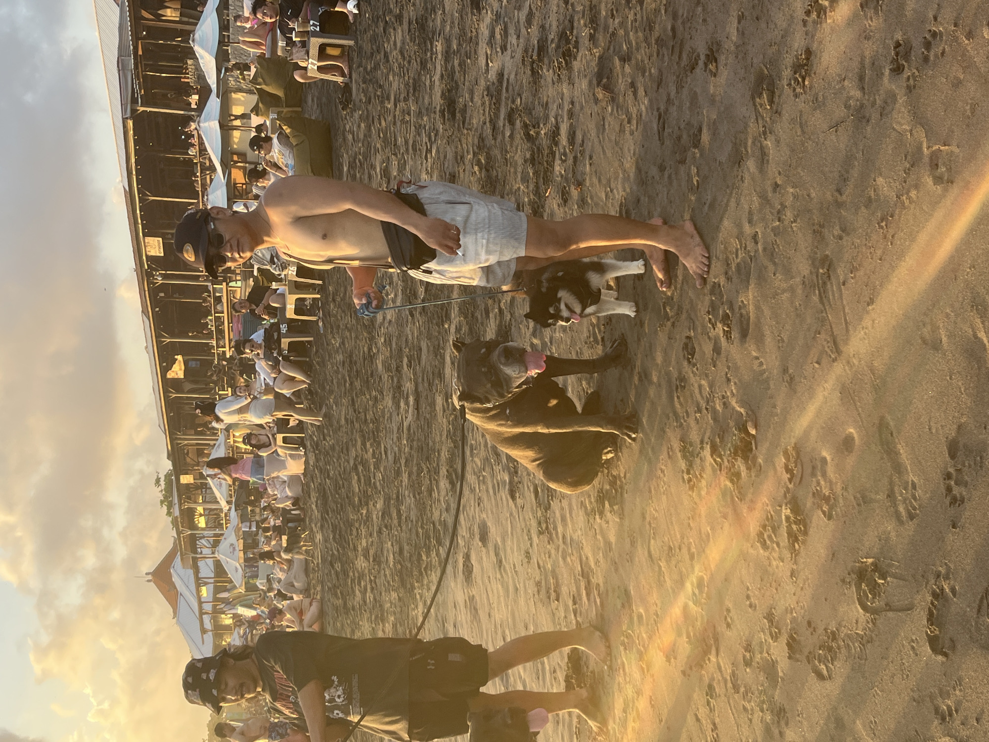 The image captures a beach scene, likely at sunset, given the golden light. The location is specifically North Kuta, Indonesia, discernible from the architecture and beachside establishment visible in the background. In the foreground, a shirtless man wearing shorts and a baseball cap walks with two dogs on leashes: one a husky, the other a dark-colored larger breed with its tongue lolling. Another individual, wearing a t-shirt, shorts, and a bucket hat, is walking a dog behind them. The beach is populated with people and umbrellas near a multi-level beachside establishment. The sand shows footprints and dog paw prints.