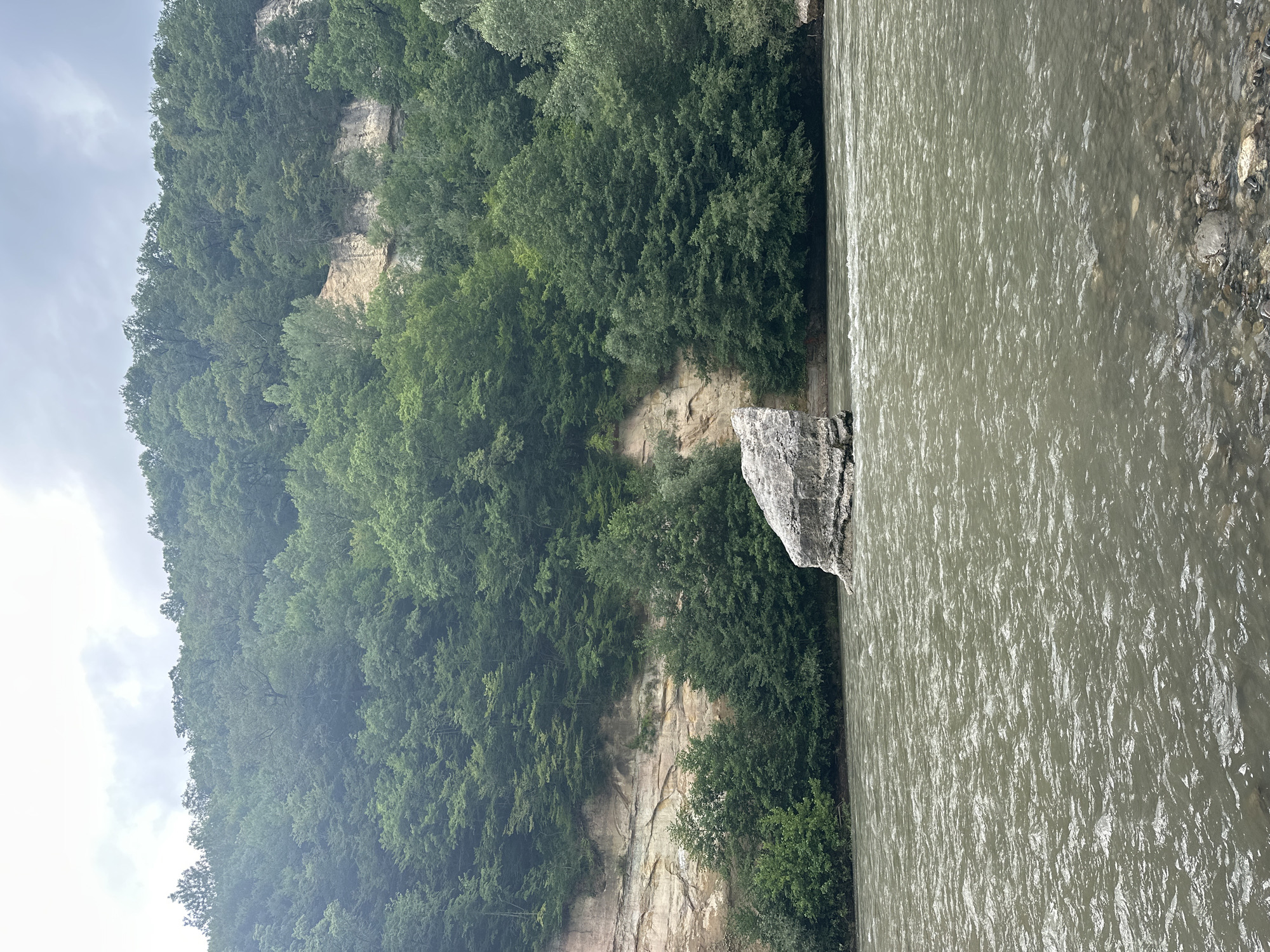 A wide, muddy river flows in the foreground, its surface rippling under an overcast sky. In the middle ground, a large, rough-hewn boulder juts out of the water. Behind the river, a steep, forested hillside rises, its lower slopes featuring exposed, light-colored rock formations. The trees are dense and predominantly a deep green, creating a lush backdrop. The scene appears to be a natural landscape, likely a river valley or gorge, situated in a mountainous or hilly region.