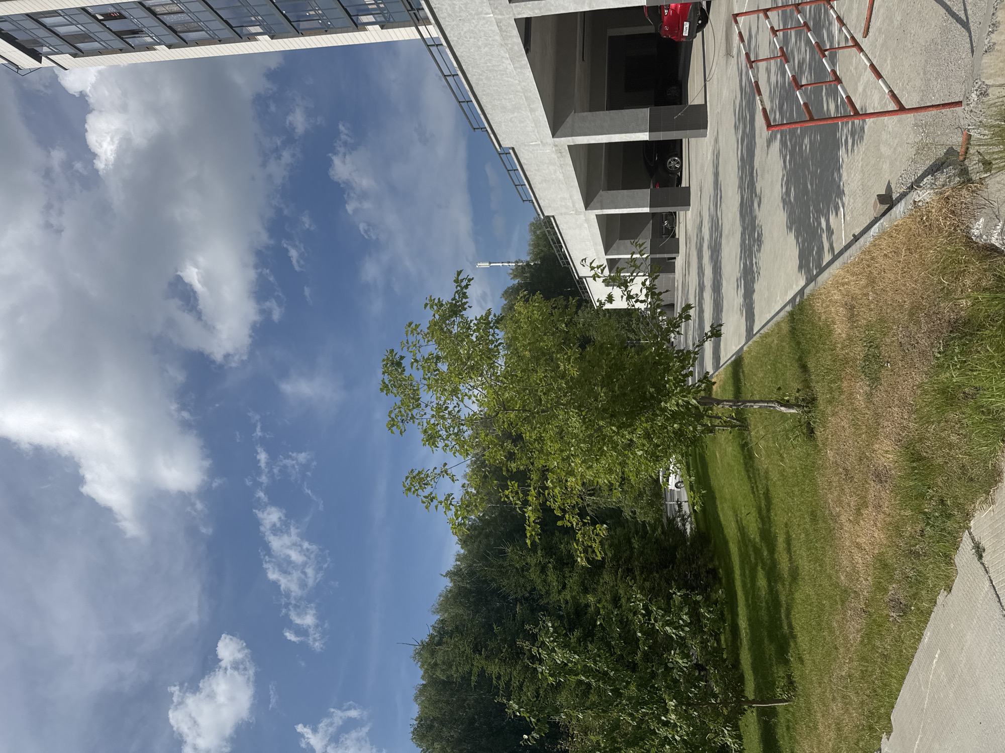 The image depicts an outdoor scene in Koltsovo, Russia, featuring a modern apartment building with a covered parking area. The parking area has multiple concrete pillars supporting an upper level and a black railing along the edge. Several cars are parked within the covered bays, including a black sedan and a red hatchback. In the foreground, a patch of grass is visible, with some areas appearing dry and brown, indicating dry conditions. A red and white striped barrier is positioned in the lower right corner of the image. To the left of the parking structure, a line of trees and dense green foliage forms a backdrop. The sky above is a clear blue with scattered white clouds. A tall, slender telecommunications tower is visible in the distance, rising above the trees. The scene appears to be a residential area, possibly a courtyard or common space within a housing complex.