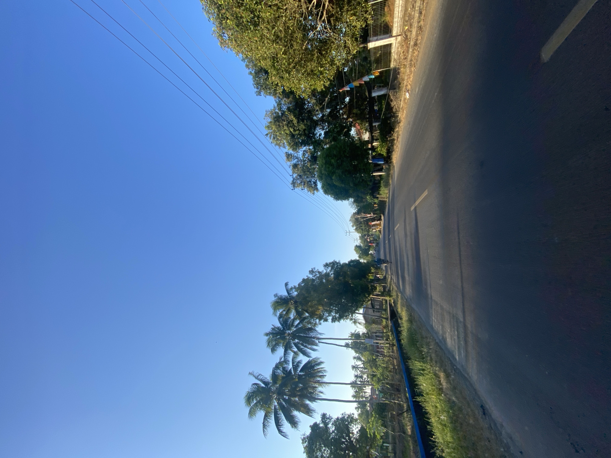 A paved road stretches into the distance under a clear blue sky in Tanah Harapan, Indonesia. The road is bordered on the left by a grassy embankment with a blue-edged drainage ditch and several tall coconut trees. On the right side of the road, a line of trees and a fence with colorful flags visible along it can be seen, with houses and more trees further back. A single person is riding a bicycle down the road in the distance. Overhead, power lines are strung across the sky. The sun casts shadows across the road, indicating it is either morning or late afternoon.