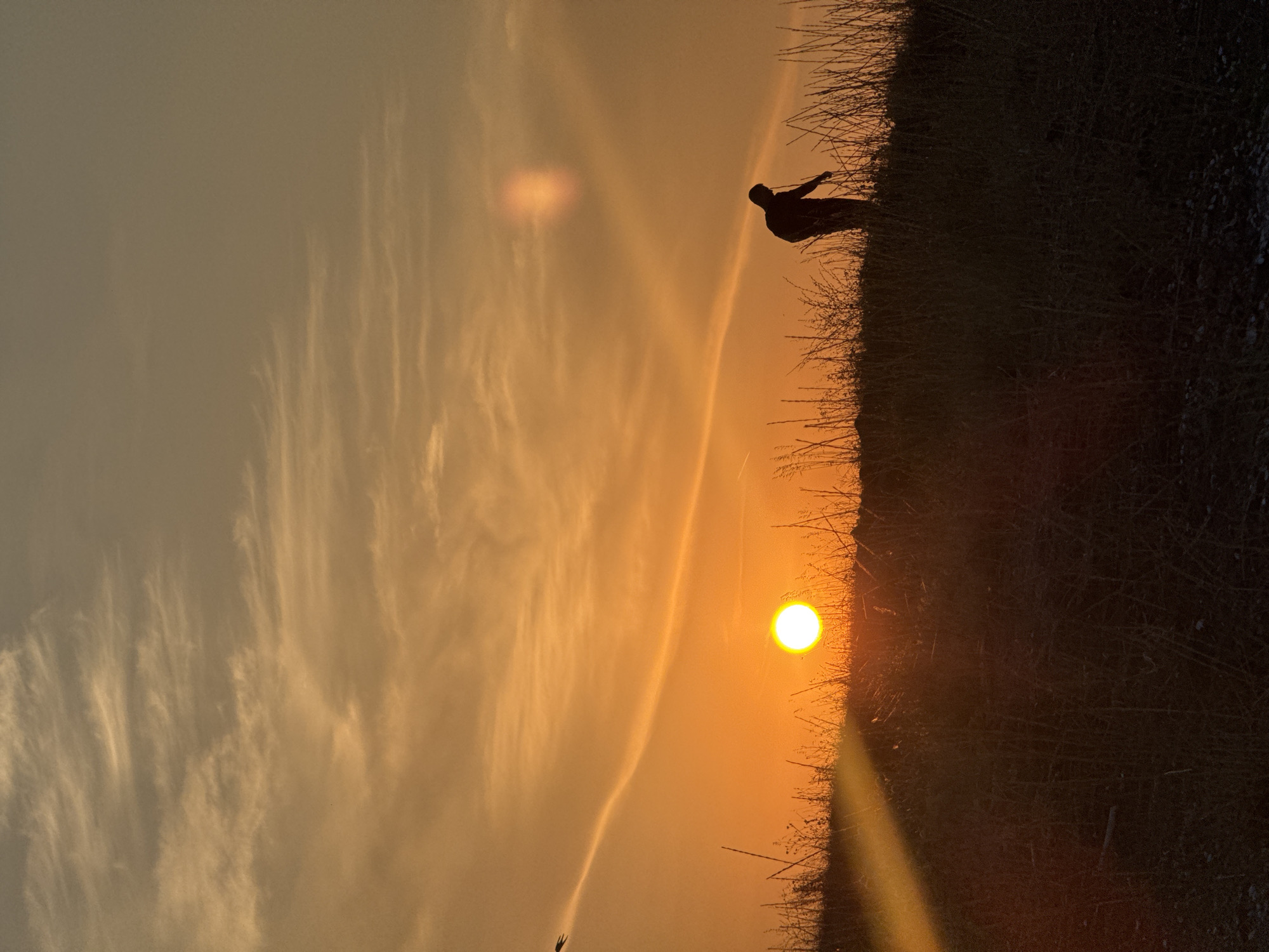 The image depicts a sunset over a grassy field in Pomorie, Bulgaria. A solitary figure, silhouetted against the bright orange sky, stands in the middle ground, appearing to bend down as if examining something on the ground. The sun is a brilliant orb low on the horizon, casting a warm glow that illuminates wispy clouds and the dry grasses. In the upper left portion of the frame, a small bird is captured in flight. The overall impression is one of solitude and the quiet beauty of nature at dusk.