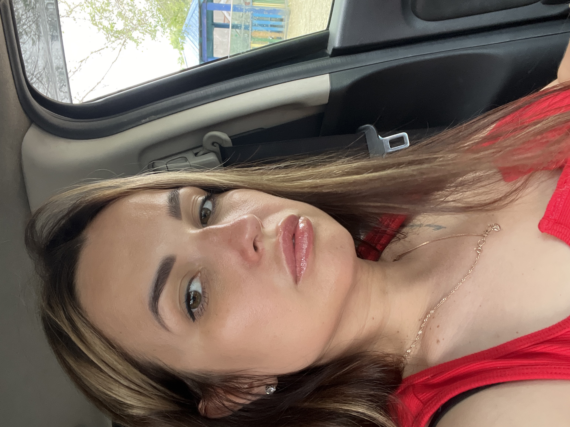 A medium shot shows a woman in a red tank top sitting in the passenger seat of a car. She is looking at the camera with a neutral expression. The woman has long, brown hair with blonde highlights and wears makeup, including eyeliner and lip gloss. A silver necklace with a pendant is visible on her neck, and a small diamond stud earring is in her left ear. The car's interior, including the seatbelt and door panel, is visible. Outside the car window, a playground structure with a blue roof and colorful railings can be seen, along with trees and a cloudy sky. The background suggests an outdoor, possibly residential or park-like, setting.