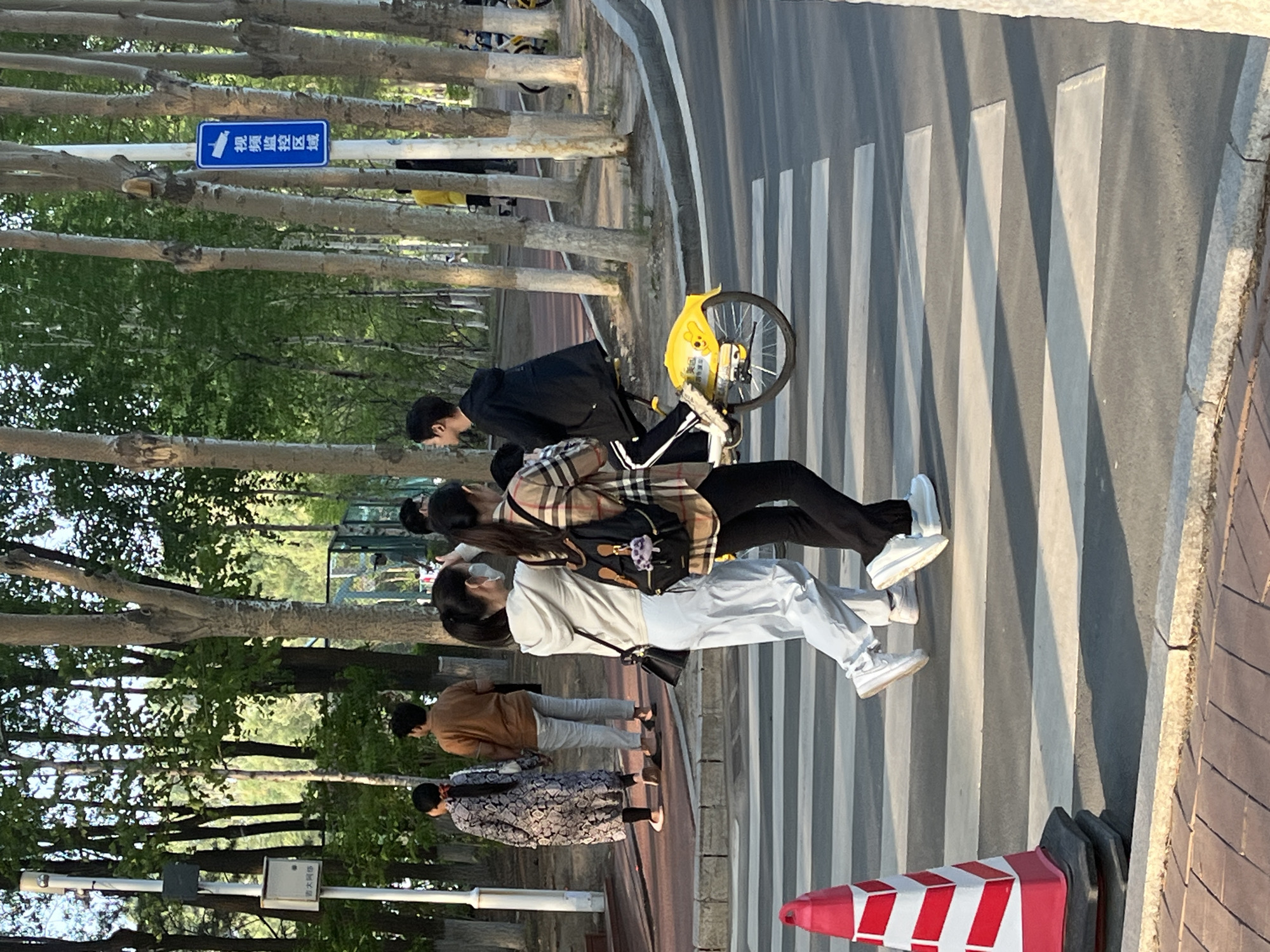The image shows a street scene in Changchun City, China. A group of people are crossing a zebra crossing. A man on a yellow bicycle is at the front, followed by two women. One is wearing a white sweater and the other is wearing a plaid jacket. Two more people are walking behind them. A red and white traffic cone is visible on the right side of the road. Trees line the left side of the street, with a blue sign attached to one of them.