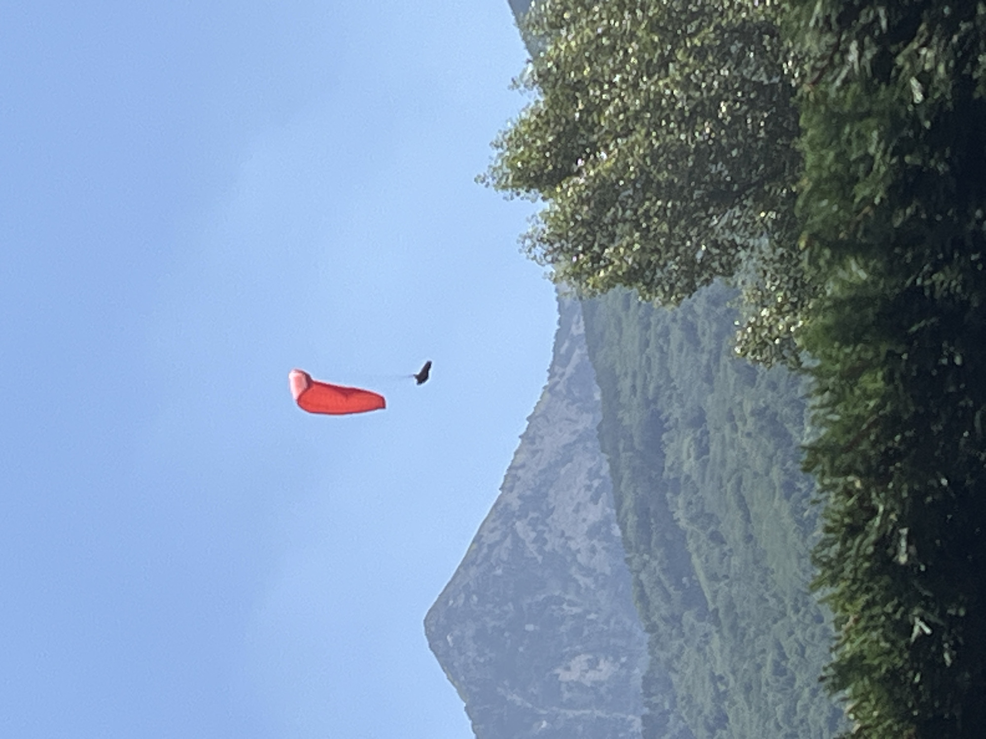 A red paraglider is suspended in a clear blue sky above a mountainous landscape. The paraglider is in mid-air, with the fabric inflated and appearing taut. Below the paraglider, a dark figure, presumably the pilot, is seated in a harness. The background features a large, jagged mountain peak, partially obscured by haze, with lush green slopes covered in trees cascading down towards the foreground. A row of dark green foliage forms the bottom edge of the frame. The image appears to have been taken during daylight hours, with the sun casting a soft light on the scene. The location is identified as the city of Benasque, Spain, suggesting a mountainous region known for outdoor activities.