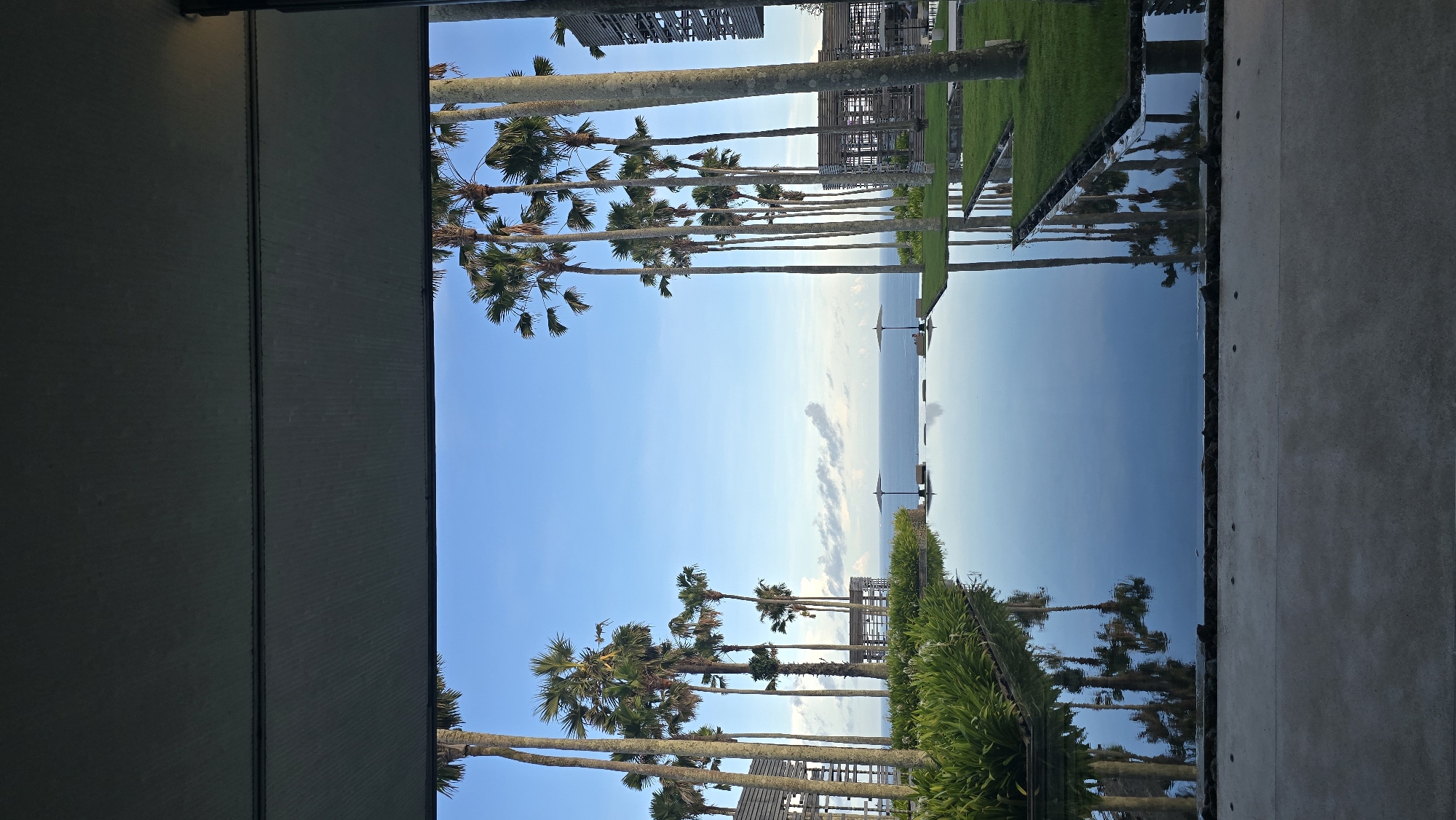 The image depicts a scene in Kuta Selatan, Indonesia, featuring a row of palm trees lining the horizon. The trees, visible from their base to their fronds, stand between the viewer and the ocean. In the foreground, there is a reflective pool of water that mirrors the sky and the trees, with building structures on both sides. The framing of the image suggests it was taken from within a building.