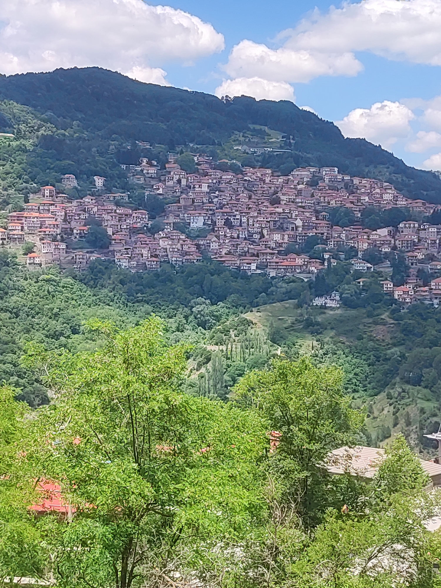 The image depicts a panoramic view of the town of Metsovo, situated on a steep, verdant mountainside under a partially cloudy blue sky. The town itself is densely populated with traditional houses, characterized by red-tiled roofs and stone or light-colored facades, built closely together along the undulating terrain. The houses climb the hillside, creating a layered effect that merges with the surrounding lush green vegetation.
The foreground is dominated by the foliage of large, leafy green trees, obscuring parts of the lower buildings and suggesting a vantage point from within a wooded area or a higher elevation looking down. The middle ground features the extensive settlement of Metsovo, showcasing its architectural style and its harmonious integration with the natural landscape. The background consists of the dark green, tree-covered slopes of the mountain range that encircles the town. The overall scene conveys a sense of a picturesque, traditional mountain village.