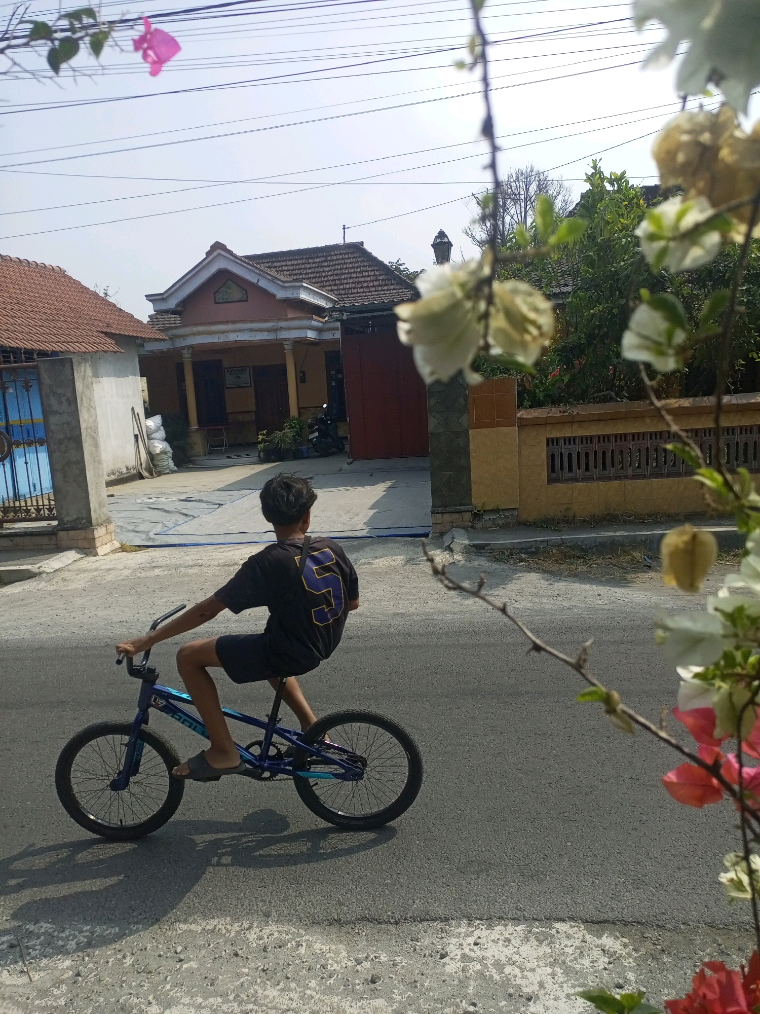 In Ngasem, Indonesia, a young boy, viewed from behind and at a slight distance, rides a blue BMX bicycle on an asphalt road. He is wearing a black t-shirt with a large yellow number "5" on the back and dark shorts. His legs are bare, and he is wearing grey sandals. The bicycle has black tires and silver handlebars. In the foreground, a branch with pink and white bougainvillea flowers is visible, partially obscuring the view. Behind the boy, a residential building with a tiled roof and a yellow-tiled wall with decorative openings can be seen. Power lines crisscross the sky. The overall scene depicts a casual outdoor activity on a bright, sunny day.