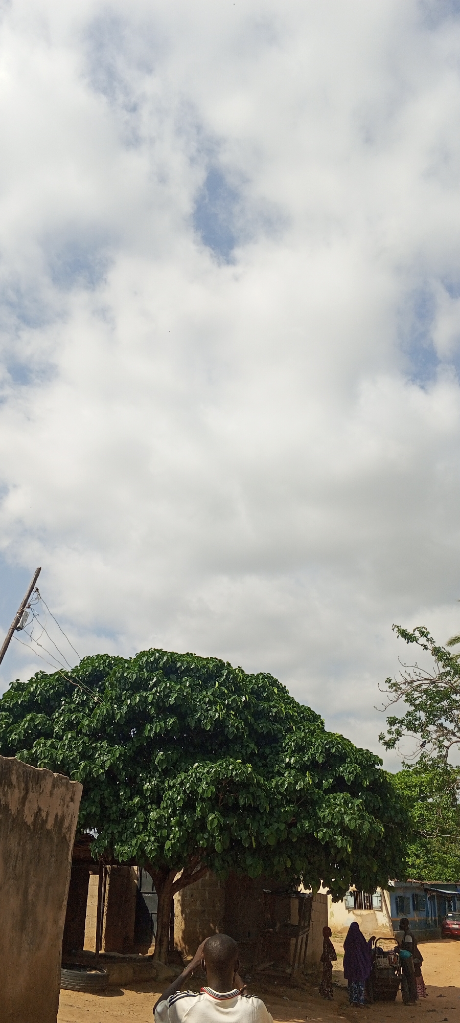 In the city of Jalingo, Nigeria, a scene unfolds under a cloudy sky. A large, leafy green tree dominates the midground, its branches casting shadows on the sandy ground. To the left of the tree, a section of a weathered, concrete structure is visible, with a wooden pole and electrical wires extending upwards. In front of the tree, a small group of individuals are gathered. A man in a white shirt with black and red stripes is seen from behind, his hands near his head, appearing to be looking towards the tree and the group. To the right of him, a few other people, including women in headscarves and a child, are interacting near a small cart. Behind them, several buildings with corrugated iron and painted walls suggest a residential or small commercial area. In the distance, a red vehicle is partially visible. The overall impression is of a casual gathering in an outdoor, rural or semi-urban setting.