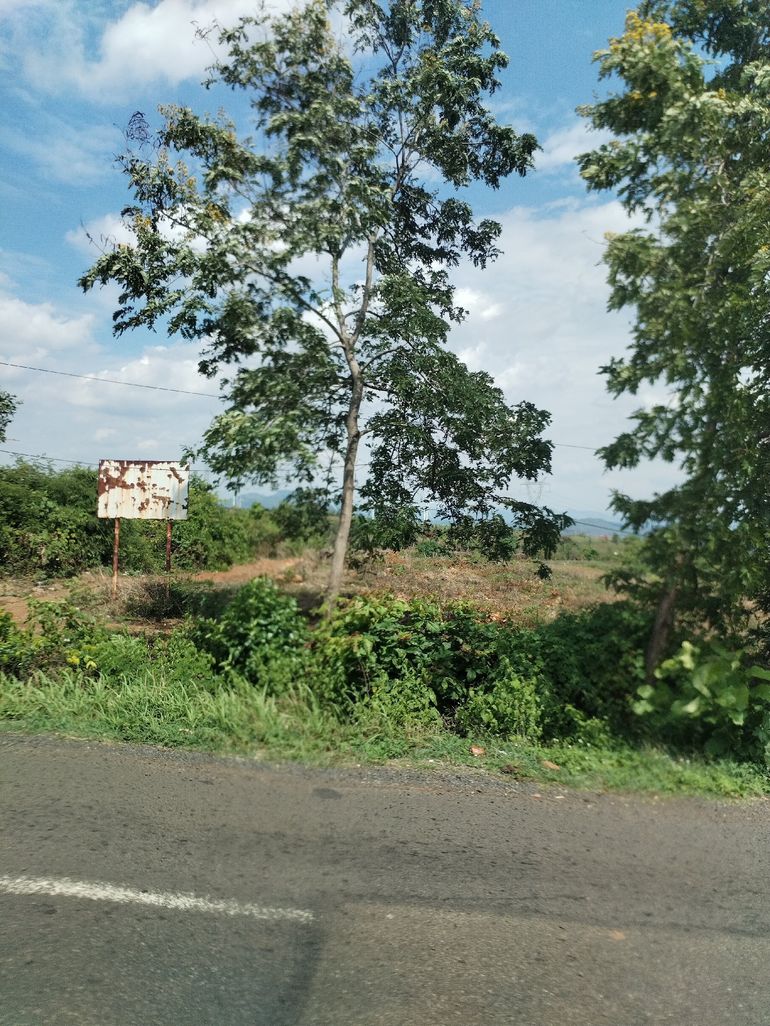 A roadside view in Ia Le, Vietnam. An asphalt road runs along the foreground. A white line is painted on the road surface. Beyond the road, vegetation covers the ground. A tree stands in the center, and another tree is visible on the right. A rusty metal sign is visible behind the first tree. In the distance, hills and electrical towers can be seen under a cloudy sky.