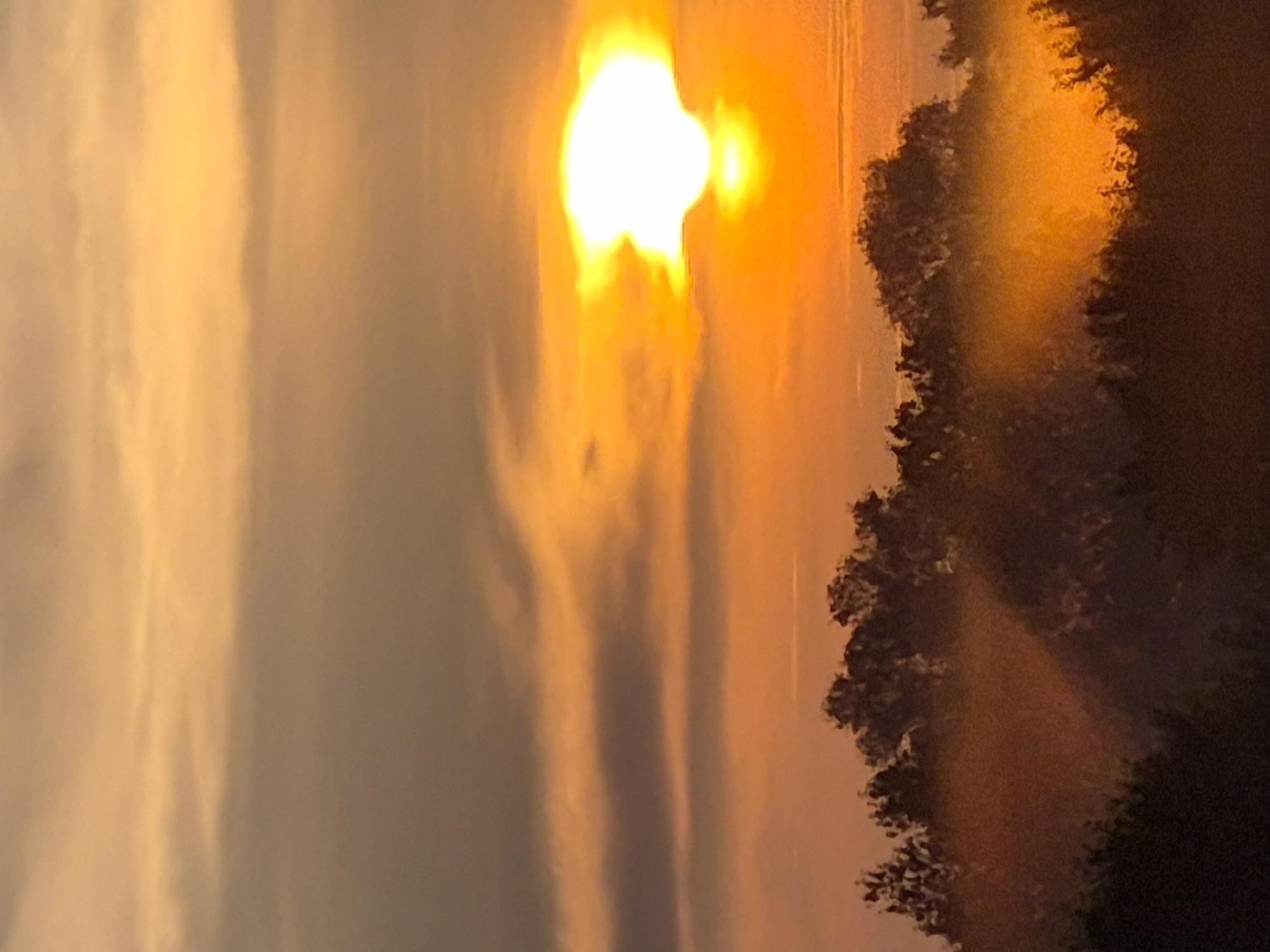 The image depicts a sunset scene over a silhouetted landscape of trees and foliage. The sky is a gradient of warm colors, transitioning from deep orange and yellow near the horizon to softer oranges and grays higher up. Wispy clouds are visible, catching the light of the setting sun. The sun itself is a bright, intense white orb, partially obscured by clouds, casting a warm glow over the scene. The foreground consists of dark, indistinct shapes of trees, with some areas appearing to be shrouded in mist or haze illuminated by the sunset. The overall impression is one of a tranquil, natural landscape at dusk. No specific location in the city of Sooblase, Estonia, is discernible from the visual information provided.