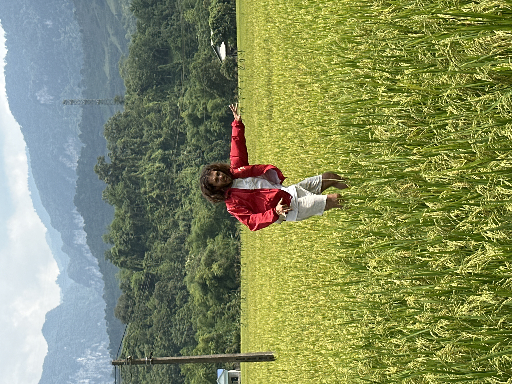 An outdoor, brightly lit, upright portrait-oriented image taken in Ngọc Đường Commune, Vietnam, captures a person posing in a lush rice field. The individual, appearing to be an adult male with long, dark, curly hair, is positioned slightly right of the center of the frame. He is wearing a bright red long-sleeved jacket over a white top and light-colored shorts. His body is turned slightly to the left, and he is looking directly at the camera with a joyful or playful expression. His left arm is raised, with his hand forming a "peace" or "V" sign, while his right arm is bent, and his hand is near his waist. He appears to be barefoot.
The foreground and midground are dominated by a vibrant green rice field, with individual rice plants visible, some appearing to be ripening to a light yellow hue. The field extends into the distance, meeting a line of dense, dark green trees and forested mountains. In the background, layers of mountains recede into a lighter blue and grey haze, suggesting distance and depth, under a light blue sky with some soft white clouds.
To the left of the frame, a wooden utility pole stands, and power lines stretch across the mid-ground. Further back, a metal lattice structure, possibly a transmission tower, is faintly visible against the distant mountains. The overall impression is one of natural beauty and an active, happy moment in an agricultural landscape. There is no visible text in the image. The time of day appears to be mid-morning or afternoon, given the bright, direct sunlight.