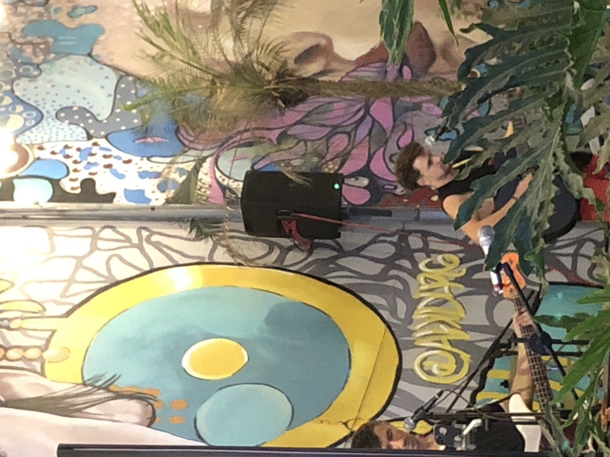The image captures a live music performance in an indoor setting, likely a bar or venue in Da Nang, Vietnam. A person with curly brown hair, wearing a black t-shirt, is playing a stringed instrument, possibly a guitar, which is partially obscured by lush green foliage. The background is a vibrant mural featuring abstract shapes and flowing lines in shades of blue, purple, pink, and yellow. A large, stylized yellow and blue circular motif is prominent on the left side of the mural. A black speaker with a green light is visible, along with microphones and music stands, indicating a performance is in progress. The overall atmosphere appears to be energetic and engaging, typical of a live music event. The mural's style suggests a modern, artistic space. The lighting is dim, creating an intimate ambiance.