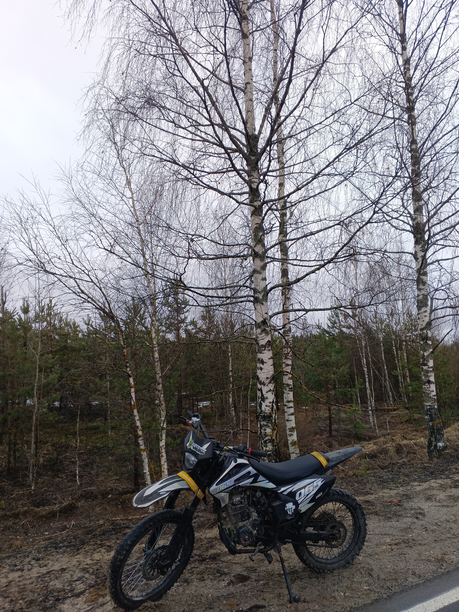 The image shows a dirt bike parked on the side of a road in Krasnyi Mayak, Russia. The bike is black and white with yellow accents. It has a Monster Energy logo on the front. The bike is dirty, suggesting it has been used off-road. The background consists of birch trees and other trees without leaves, indicating it might be late autumn or winter. The sky is overcast.