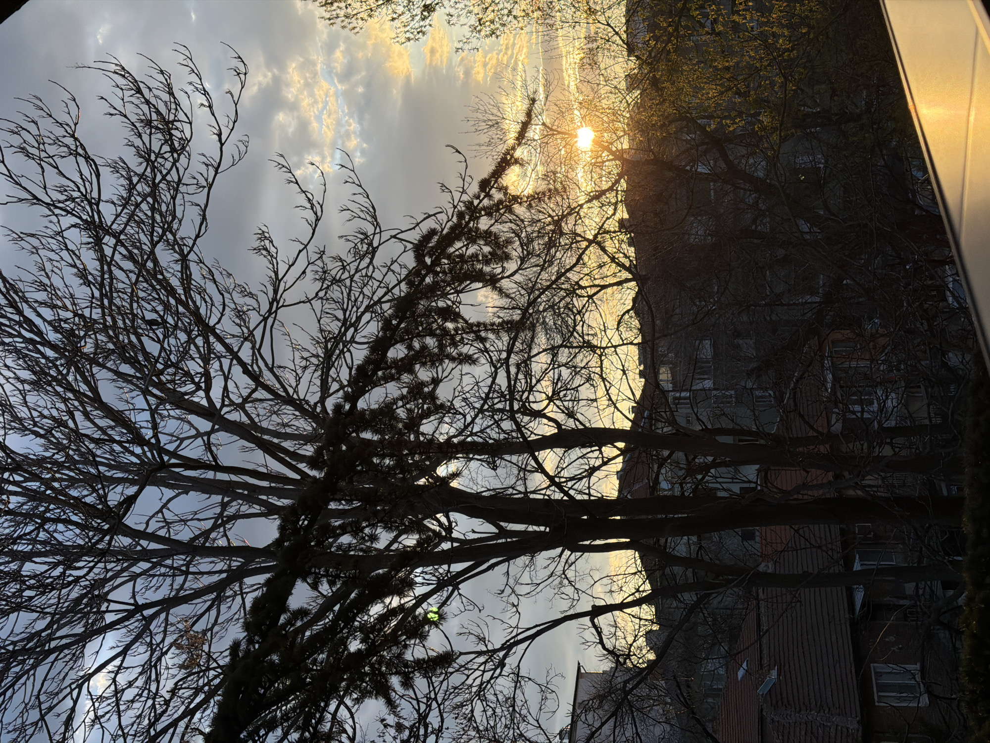 The image presents a view of a sunrise or sunset through trees and buildings. The location is likely an urban area, potentially in Plovdiv, Bulgaria, given the prompt's context, though this is not directly verifiable from the image alone. The sky features varying cloud cover with sunlight breaking through. Trees with bare branches are prominent in the foreground, creating silhouettes against the sky. A multi-story building is visible behind the trees, with dark windows. A window frame is present on the right of the image.