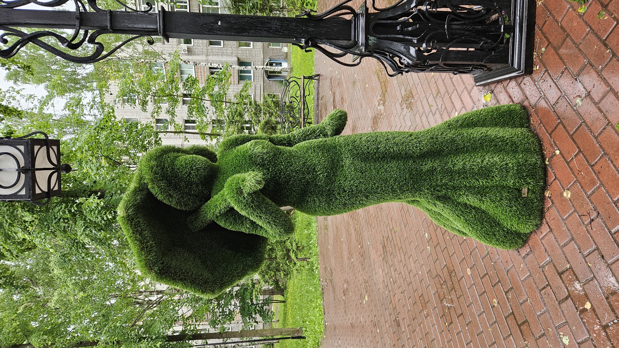A vibrant green topiary sculpture of a woman in a flowing gown stands on a wet, red brick walkway. The sculpture is detailed, with the textured grass mimicking the folds of her dress and the curve of her arms. Her head and upper body are turned, as if she is looking to the side.
Behind the sculpture, a black metal lamppost with decorative scrollwork and a square lantern is visible. Further back, a building with light-colored brick and numerous windows stands amidst lush green trees. The grass surrounding the walkway is also a healthy green. The brick pathway appears damp, suggesting it may have recently rained. Fallen leaves are scattered on the walkway.
The overall scene is tranquil and outdoors, with the bright greenery contrasting with the darker lamppost and the red brick. The time of day is unclear, but the overcast or post-rain conditions suggest it might be a cloudy day. There is no visible text in the image.
