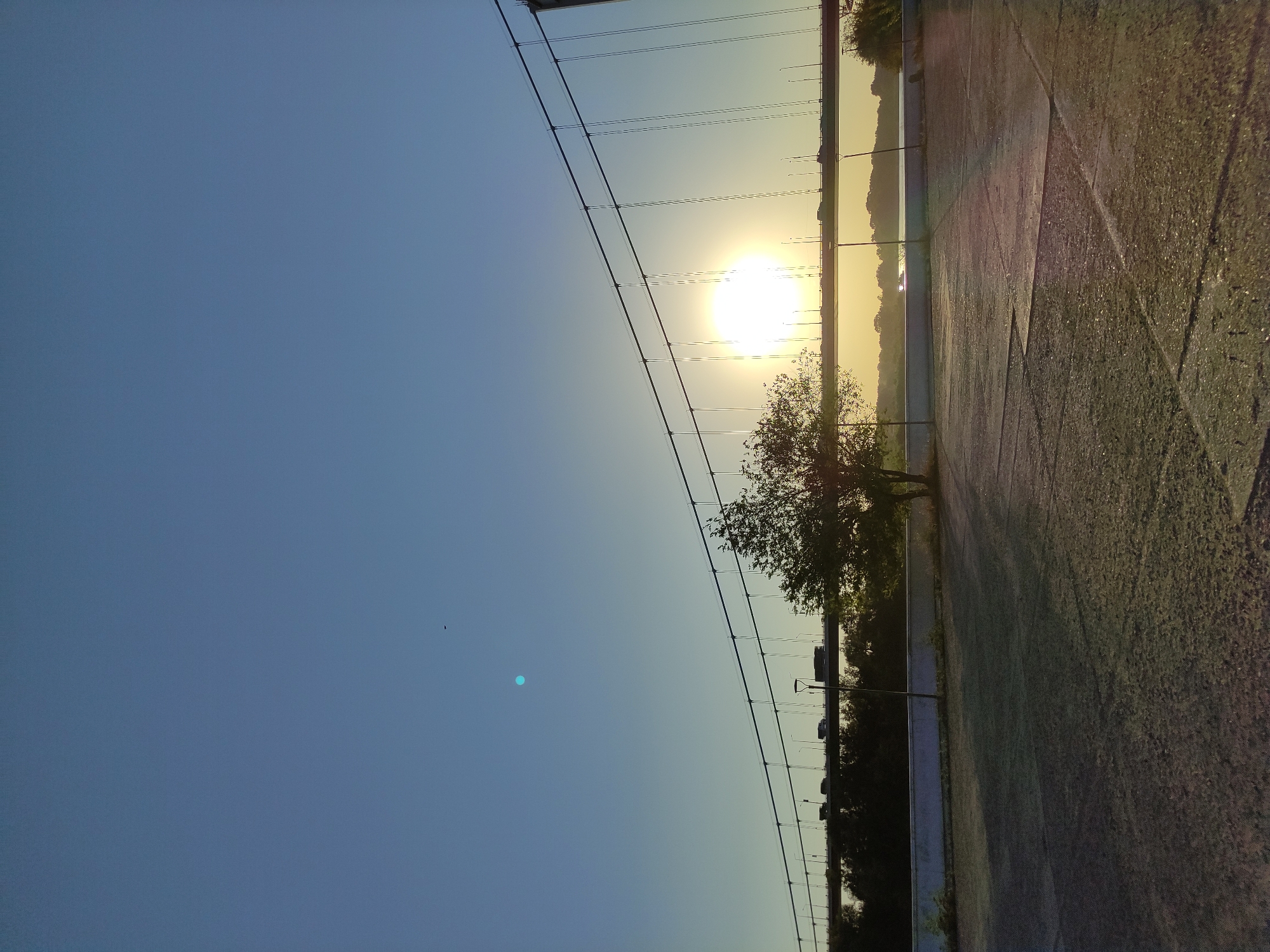 The image captures a view of the Suspension Bridge in Semey, Kazakhstan, during a sunrise or sunset. The sky is a clear, gradient blue, transitioning to a soft yellow near the horizon. The sun, a bright orb, is visible behind the bridge's cables, creating a strong lens flare and illuminating the scene with a warm glow.
The bridge itself is a prominent feature, with its suspension cables arching across the frame. A roadway is visible on top of the bridge, with vehicles, appearing as small dark shapes, in motion. The landscape beyond the bridge consists of a treeline and distant structures.
In the foreground, there is a paved area, likely a pathway or plaza, with a rough, textured surface. Shadows are cast across this area, indicating the low angle of the sun. A single tree stands on the left side of the frame, its branches silhouetted against the bright sky. A lamppost is also present on the bridge, and what appears to be a small bird is visible in the upper portion of the sky. The overall atmosphere is serene and peaceful, characteristic of a time of day with soft, natural light.