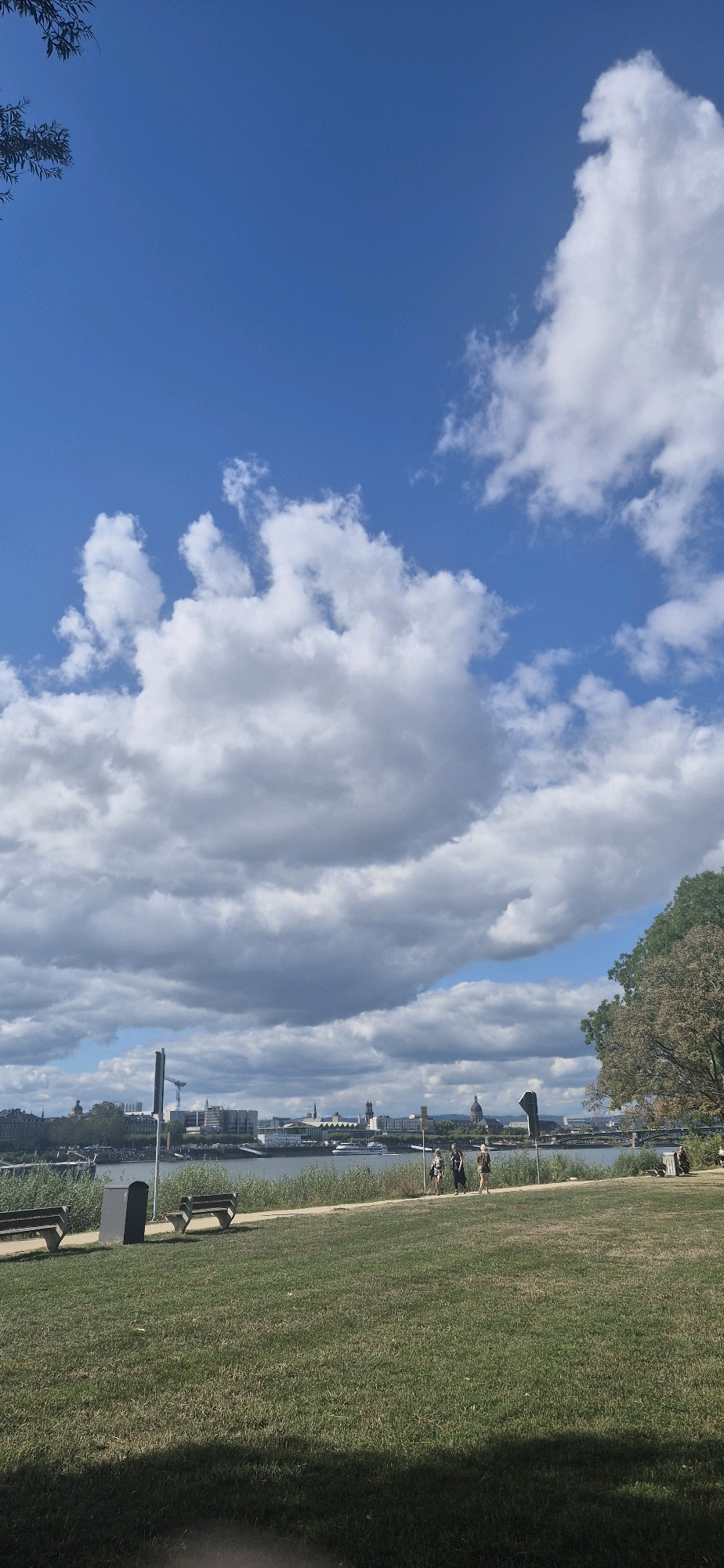 This image depicts a sunny day with scattered clouds over the Rhine River in Wiesbaden, Germany. In the foreground, a grassy park area features several benches and a trash receptacle. A paved path runs along the riverbank, where three individuals are walking. Across the river, the cityscape of Wiesbaden is visible, with various buildings and a prominent dome. A large tree on the right side of the frame provides shade. A boat is seen on the river.