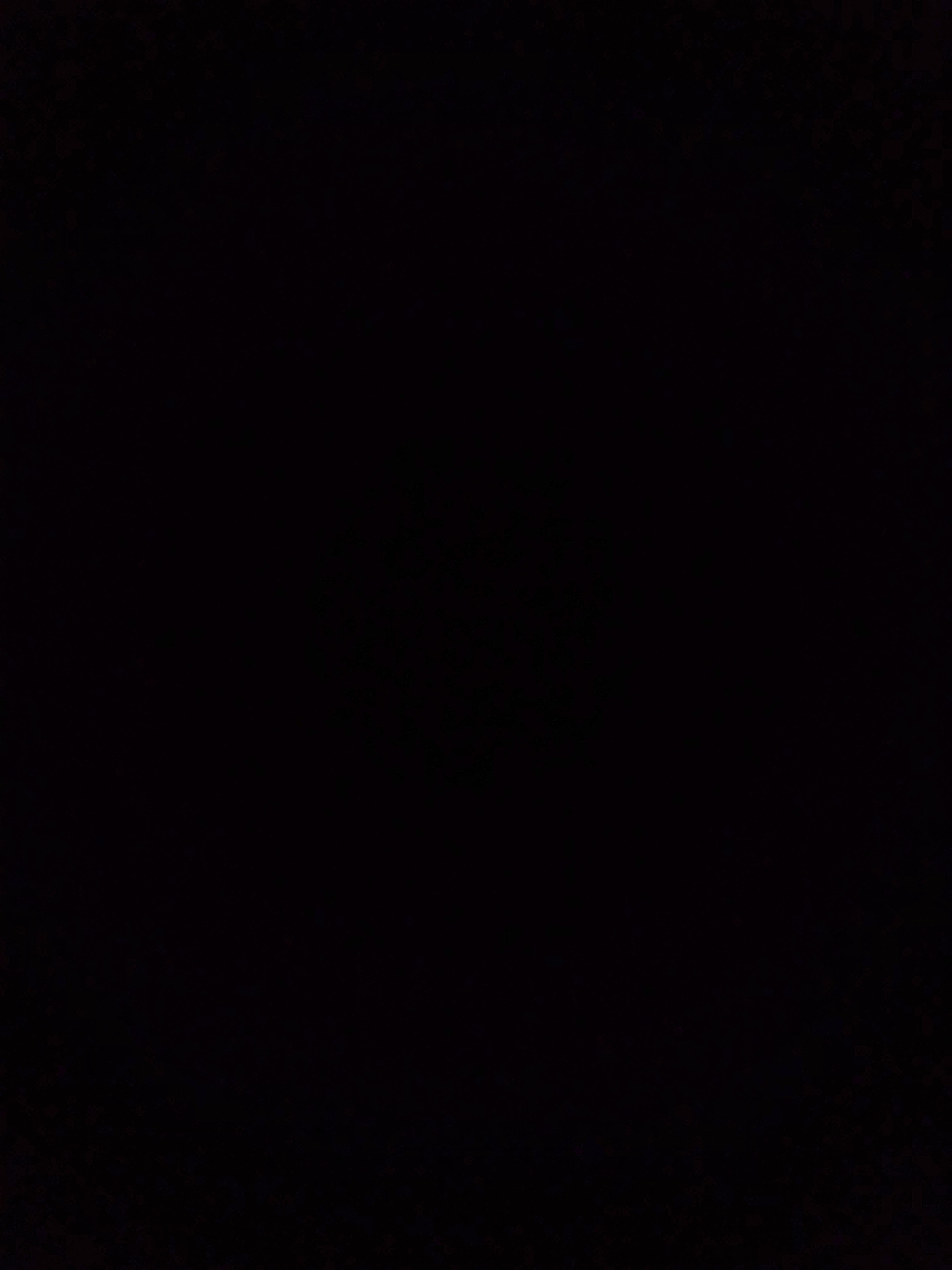 The image is entirely black and appears to be a photograph taken in a completely dark environment. There are no discernible subjects, objects, actions, or environmental features visible in the image. Therefore, it is impossible to determine the location in the city of Rivarossa, Italy, or any other details.