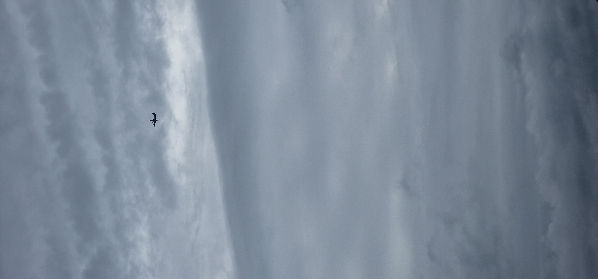 A small, dark silhouette of a twin-engine airplane is visible against a cloudy, overcast sky. The plane is positioned in the upper center of the frame. The clouds appear thick and layered, with a muted gray color palette, suggesting a dull or potentially rainy day. There is no discernible landscape or city visible, as the image is solely focused on the sky and the aircraft.
