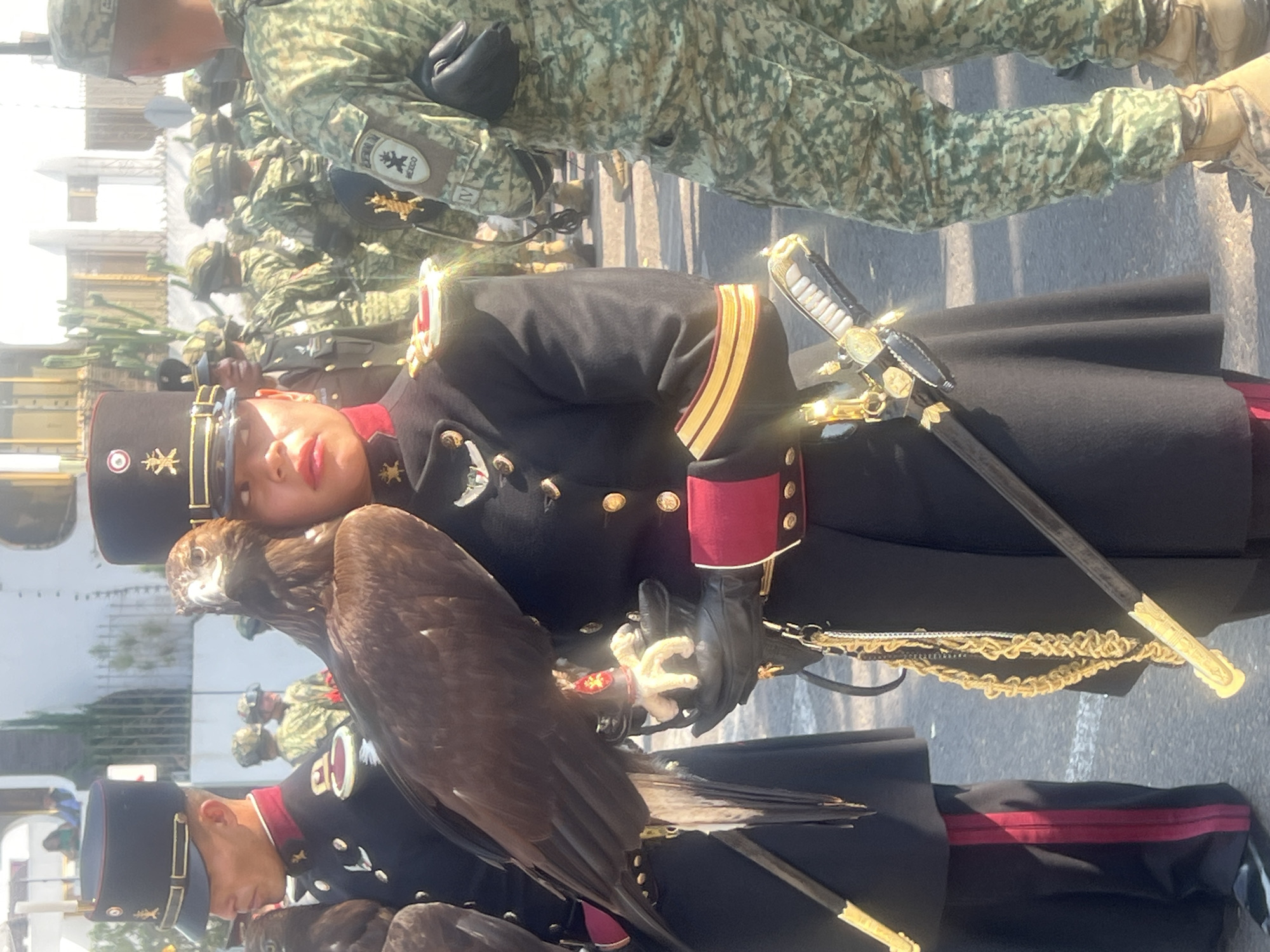 A parade scene with multiple people dressed in military-style uniforms. The person at the center carries a large bird on their arm. They wear a black hat and black gloves, and a sword hangs at their side. Behind them are other military personnel in green camouflage uniforms. The location appears to be a city, evidenced by buildings in the background.