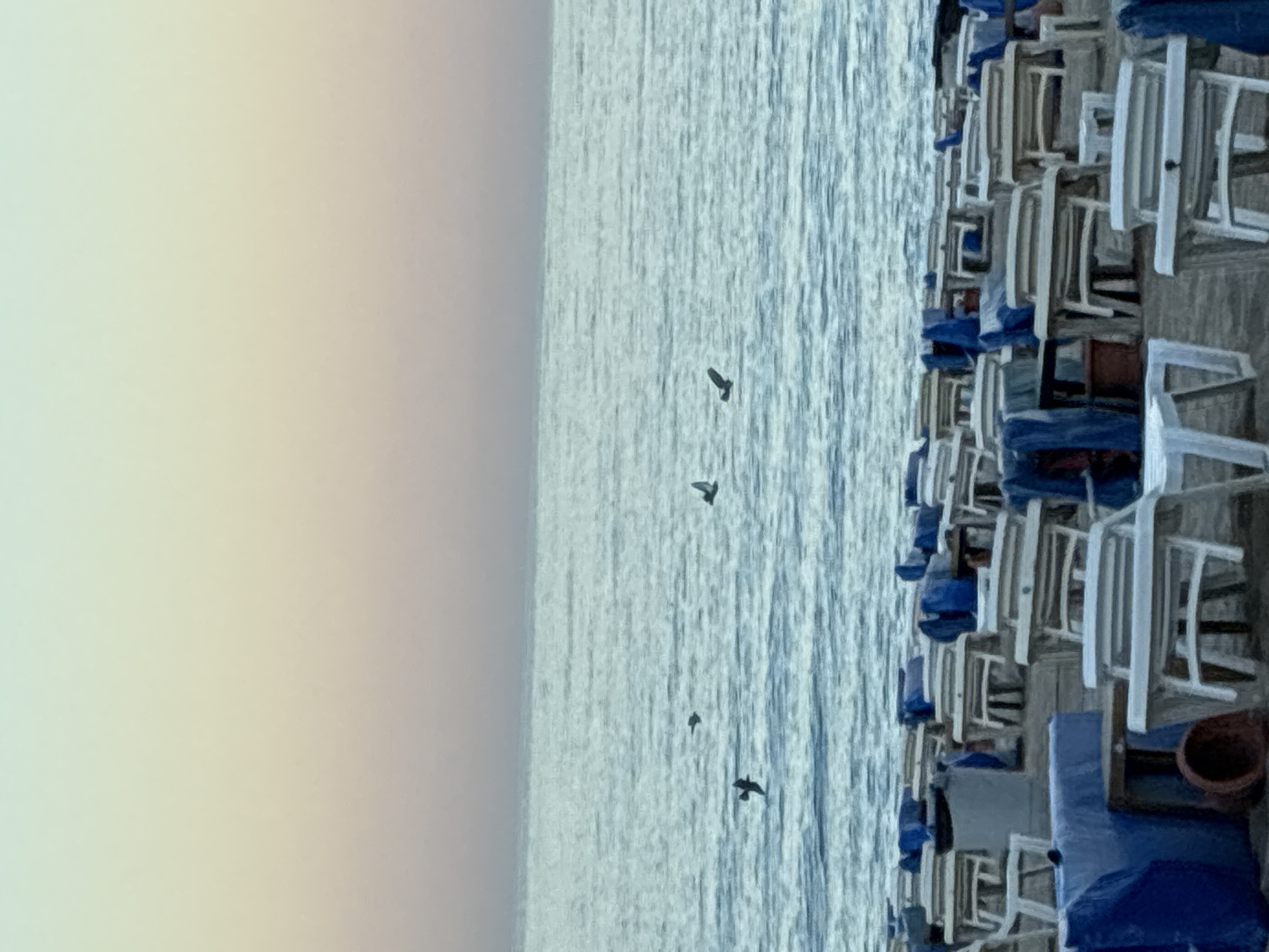 The image depicts a beach scene at sunrise or sunset, characterized by a gradient sky transitioning from a pale yellow-orange at the horizon to a soft blue-green overhead. The sea is calm with gentle ripples, reflecting the sky's colors. Several birds are captured in mid-flight over the water. In the foreground, numerous empty lounge chairs are arranged on the sand. Many of these chairs are covered with blue tarpaulins, suggesting they are either being stored or protected from the elements. The scene appears to be on a commercial beach in Alanya, Turkey, likely before opening hours or during an off-season period, given the lack of people and the covered chairs. The overall atmosphere is serene and quiet.