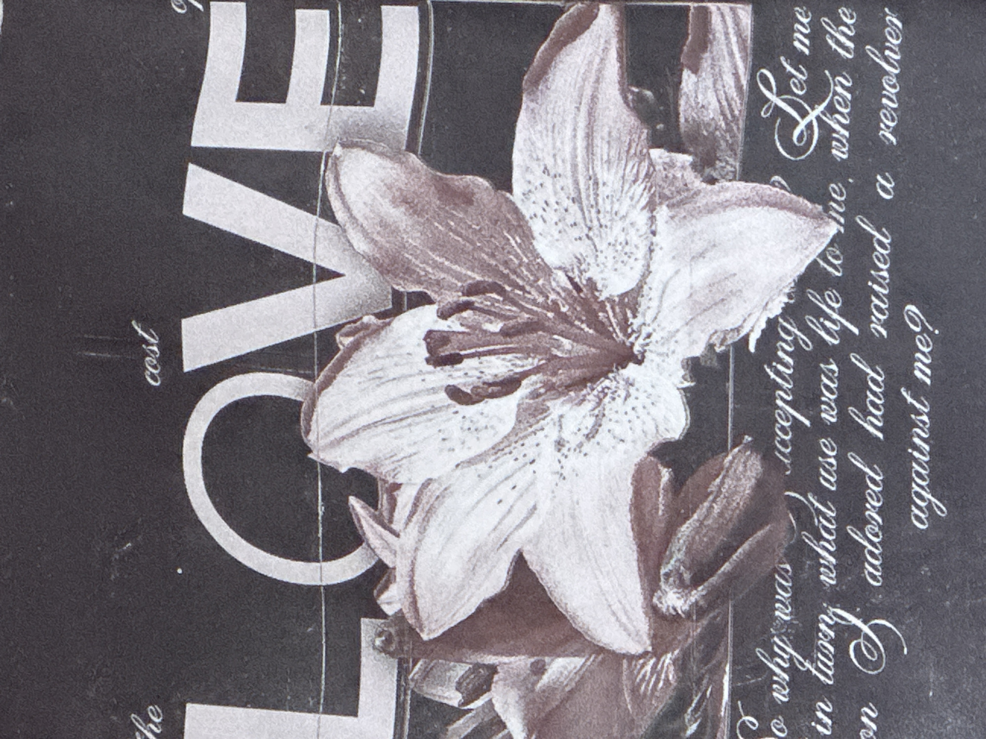 The image shows a close-up of a decorative artwork, likely a print or painting, on a dark background. Prominently displayed is the word "LOVE" in large, stylized white lettering. Below the word "LOVE" is a detailed illustration of a lily or similar flower, rendered in shades of white and brown. The lower portion of the artwork features handwritten text in white script, which appears to be a poem or quote. The text includes phrases like "So why was," "accepting," "in turn, what use was life to me," "Let me," "when the," and "adored had raised a revolver against me?". The artwork is presented as a flat surface, possibly a wall decoration. There is no information or visual content within the image that would indicate its location in the city of Ridder, Kazakhstan.