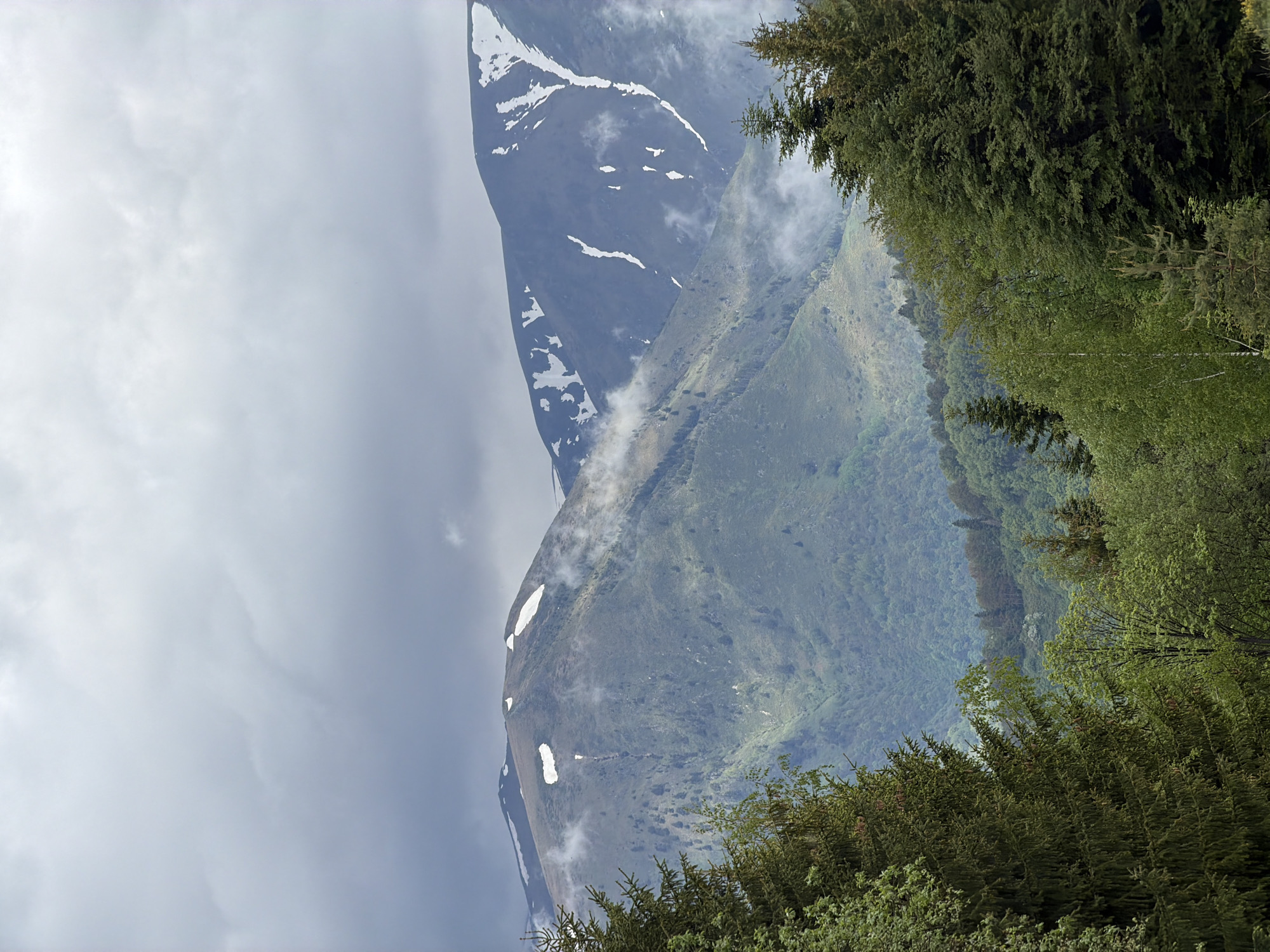 The image depicts a mountainous landscape in the vicinity of Rila Monastery, Bulgaria. The scene is dominated by two prominent mountain peaks. The peak on the left is partially covered in snow, particularly along its upper ridges and in patches along the slopes. Clouds obscure parts of this peak. The peak to the right is covered with lush greenery, suggesting a lower altitude and a different type of vegetation. In the foreground, there is dense tree cover, adding depth to the view. The sky is overcast with grey clouds.