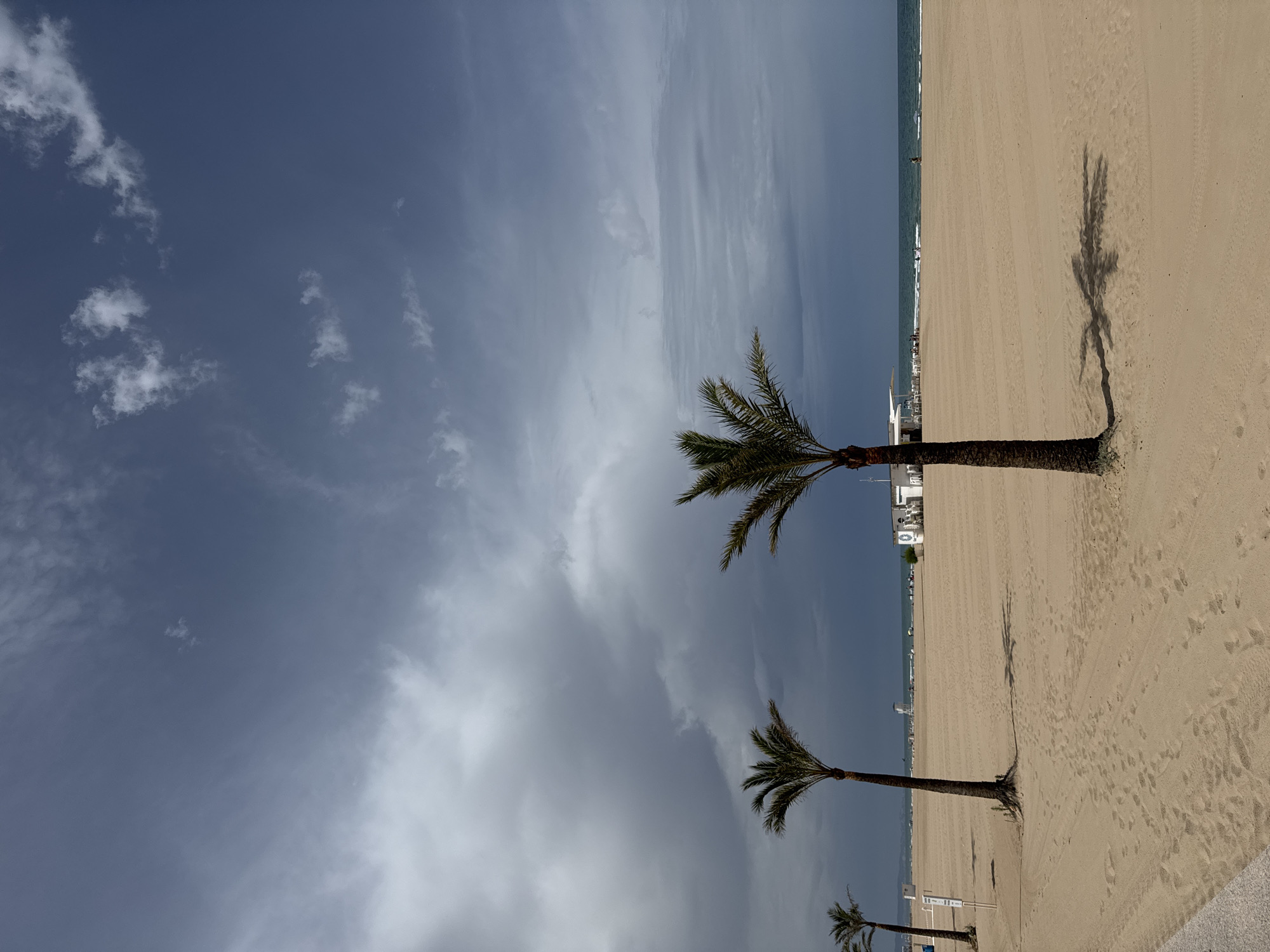 The image depicts a beach scene in Gandia, Spain. The foreground features a sandy beach with several palm trees and their shadows cast across the sand. In the background, the sea meets the shore, and a faint line of buildings and beach umbrellas is visible along the coastline. The sky is a mix of dark and light clouds, suggesting impending or passing rain, with patches of bright sunlight breaking through. The overall lighting and cloud cover suggest it could be late afternoon or a variable weather day. The scene conveys a sense of a typical beach day with natural elements and human presence, though the weather appears unsettled. There is no discernible text within the image.