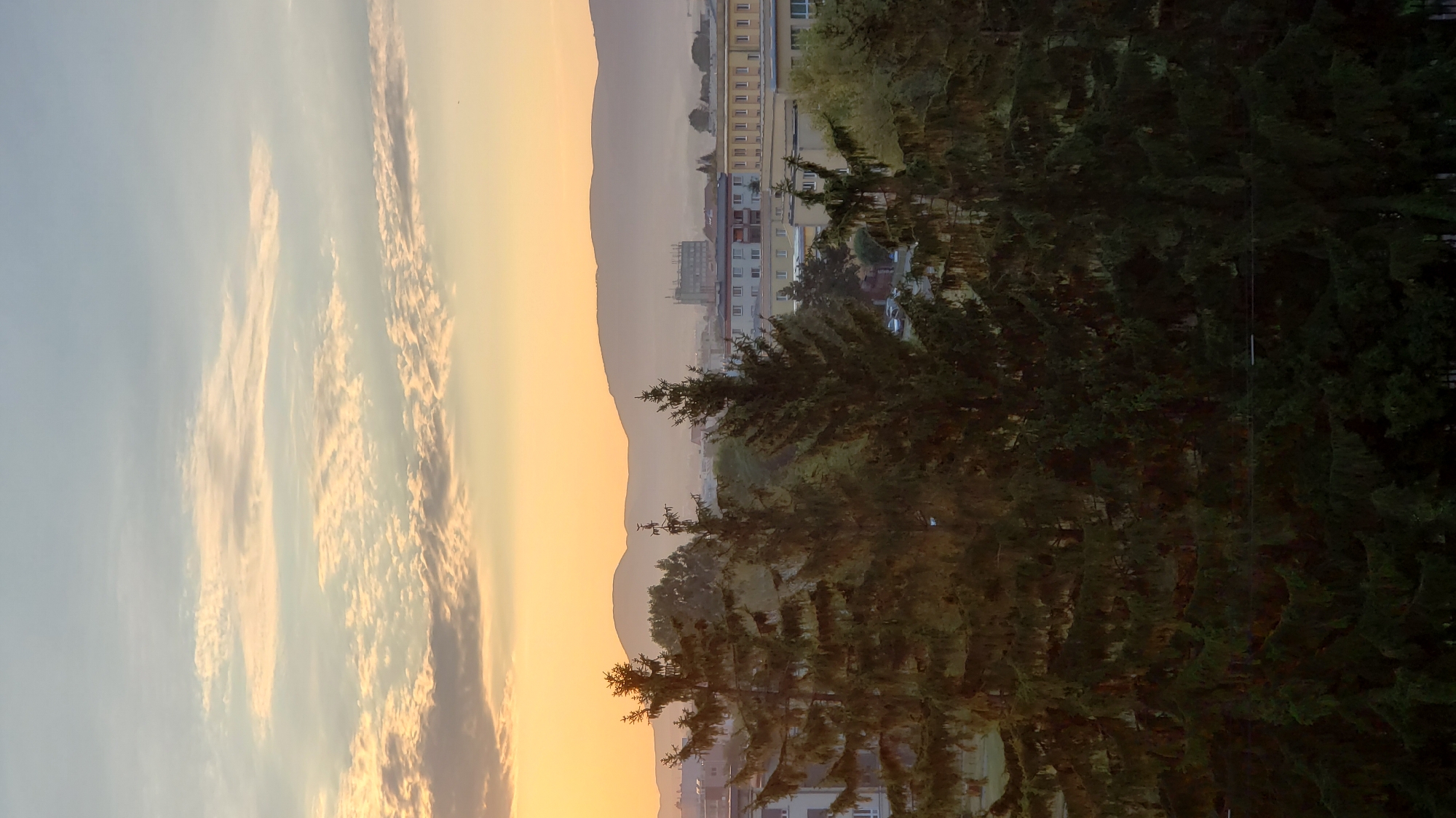 The image depicts a panoramic view of the city of Prešov, Slovakia, at sunrise. The foreground is dominated by the dark silhouettes of several tall evergreen trees, likely spruce or fir, which partially obscure the city skyline. Behind the trees, a low-rise urban landscape unfolds, characterized by apartment buildings and other structures, some with visible windows and balconies. In the middle ground, more trees and greenery are scattered throughout the city. The background features hazy, undulating hills or mountains silhouetted against a sky transitioning from the warm orange and yellow hues of sunrise near the horizon to a pale blue at the zenith. Wispy clouds are present in the upper portion of the sky, illuminated by the rising sun. The overall atmosphere suggests a quiet morning in an urban setting with natural elements.
