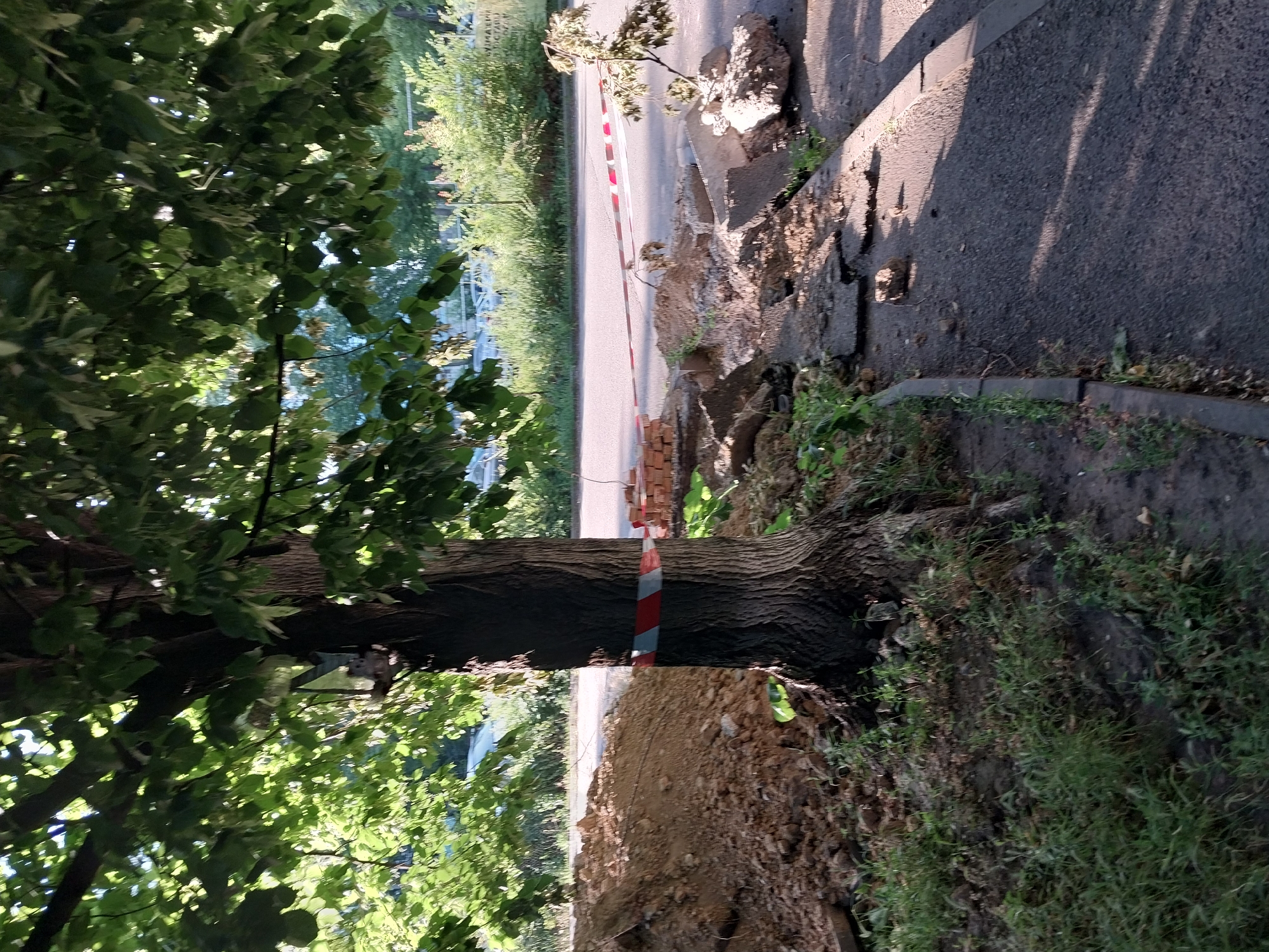 This image depicts a street scene in Dnipro, Ukraine, focusing on a tree with red and white caution tape wrapped around its trunk. To the left of the tree, a large pile of dirt and debris is visible, suggesting construction or repair work. In the foreground and extending across the road, broken asphalt and concrete slabs are scattered, indicating damaged road surface. A pile of bricks is also present near the edge of the road. The road itself appears to be a two-lane street with a sidewalk on the right. Vegetation, including grass and tree foliage, is present on the left side of the frame and along the roadside. The lighting suggests it is daytime, possibly late afternoon, with sunlight casting shadows.