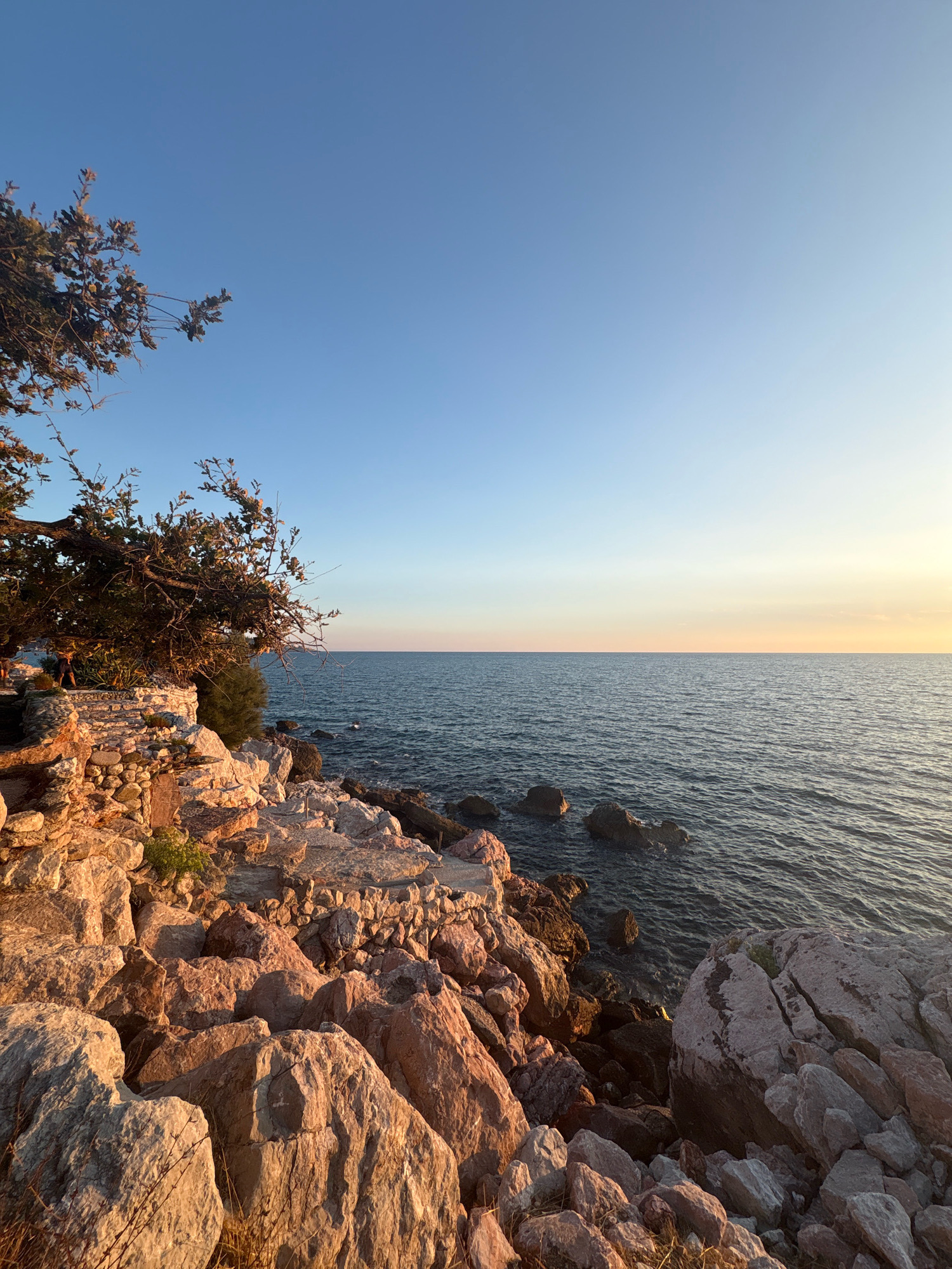 The image depicts a rocky coastline with calm sea water under a clear, pale blue sky. In the foreground, large, light-colored rocks with a reddish hue are illuminated by the warm glow of what appears to be sunset or sunrise. A gnarled tree with sparse foliage grows on the left side of the frame, its branches extending over the rocky terrain. The sea, a deep blue, stretches to the horizon, where it meets a subtle band of warmer colors in the sky, indicative of the setting or rising sun. Several dark, submerged rocks are visible in the water close to the shore. The overall impression is one of a serene, natural landscape. This scene is characteristic of the coastal areas in Bar, Montenegro, particularly along the rocky promontories and coves often found in the region.
