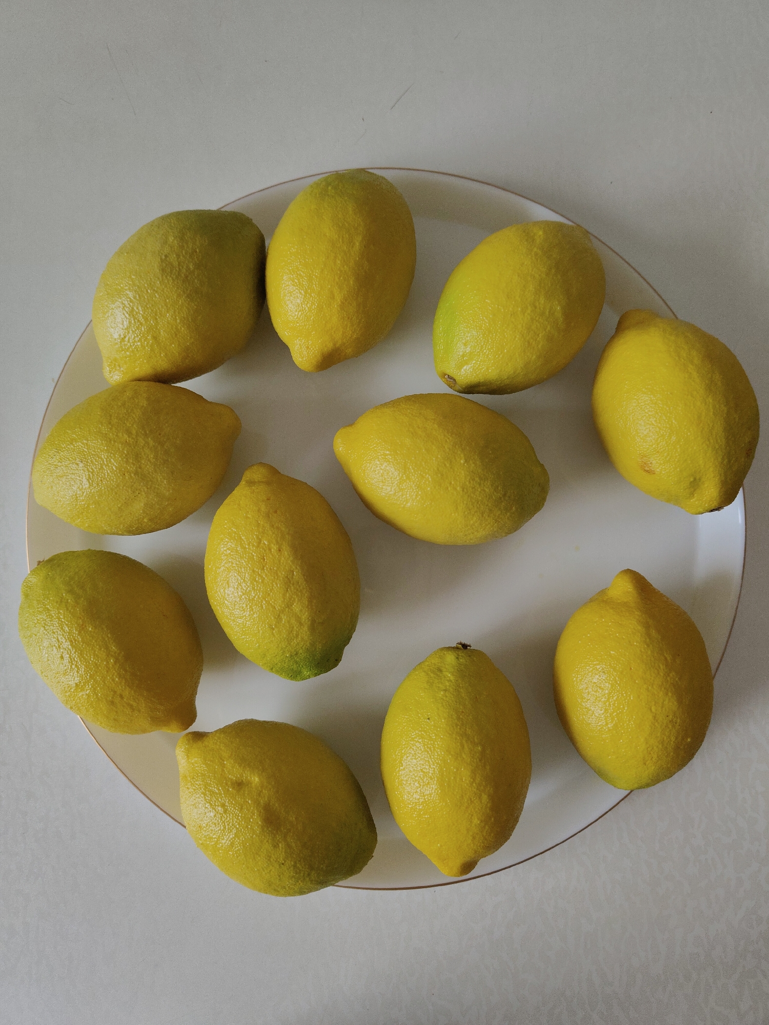 The image shows eleven lemons arranged on a white plate with a gold trim. The lemons vary slightly in size and color, ranging from bright yellow to a greenish-yellow hue. The plate sits on a white surface. The location of the scene is not specified.