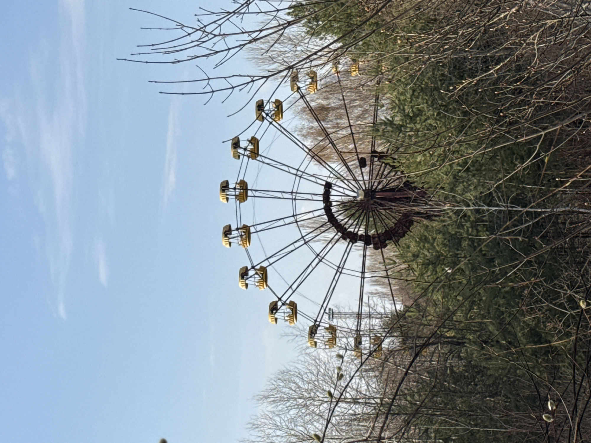 The image depicts the Ferris wheel in the abandoned amusement park located in Prypiat, Ukraine. The wheel is made of metal with several yellow seats. The structure is rusted. Bare trees surround the structure. The sky is blue. There are no people in the scene.