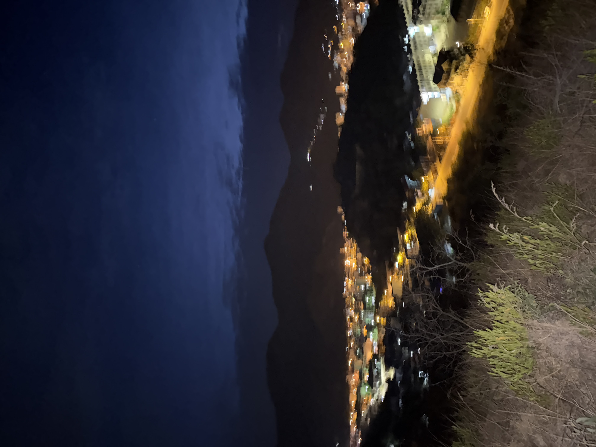 The image shows a nighttime view of Bac Nha Trang Ward, Vietnam, with a focus on the illuminated cityscape. Mountains are visible as dark silhouettes against the night sky. The city lights are bright, mostly concentrated along the coastline, and appear blurry, as if taken with a slow shutter speed or unsteady hand. A dark body of water can be seen on the left side of the image. The foreground is partially obscured by trees and shrubbery on an embankment. A lit road or pathway runs parallel to the city lights in the distance.