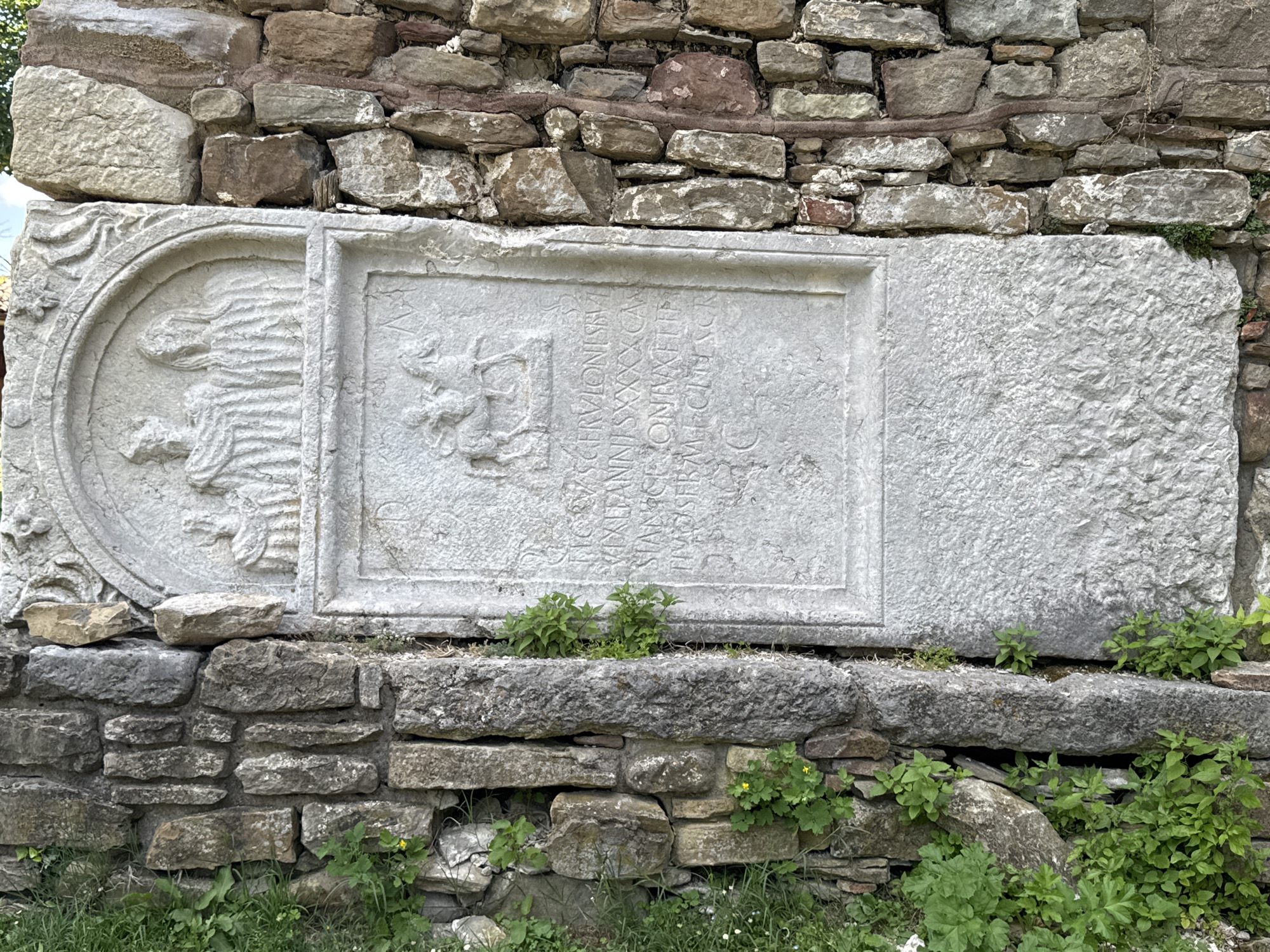 The image shows a close-up of an ancient stone inscription set into a weathered stone wall in Veliko Tarnovo, Bulgaria. The inscription is rectangular with a circular relief to its left. The relief depicts a stylized winged creature, possibly an eagle, with its wings outstretched and a flowing mane. The rectangular portion of the inscription contains carved text in what appears to be Latin. The text is partially eroded but decipherable in sections. The stone itself is a light gray, with visible chisel marks and signs of age. The surrounding wall is constructed of rough-hewn stones of various sizes and colors, from light gray to reddish-brown, with mortar filling the gaps. Greenery, including grass and small plants, grows around the base of the wall and in cracks within the stonework. The lighting suggests an outdoor setting, possibly under daylight.