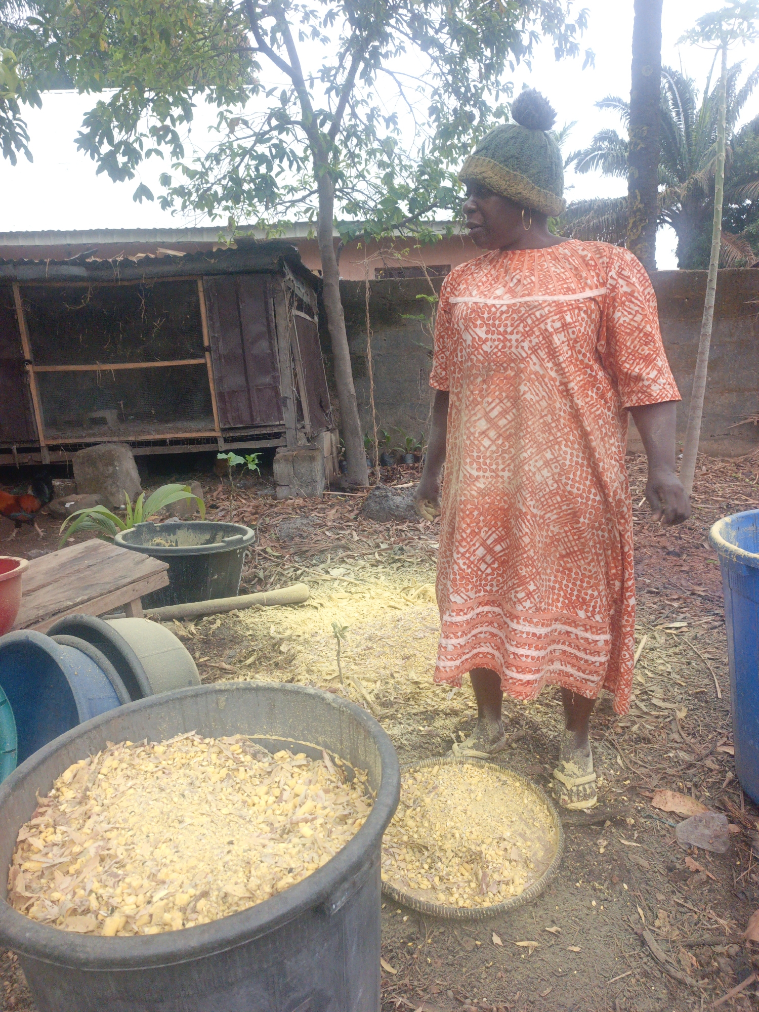 A woman wearing an orange patterned dress and a green knit hat with a pompom stands in a yard in Akwanga, Nigeria. She is surrounded by buckets and trays filled with what appears to be animal feed. A chicken coop is visible in the background. The ground is covered with loose dirt, leaves, and scattered feed.