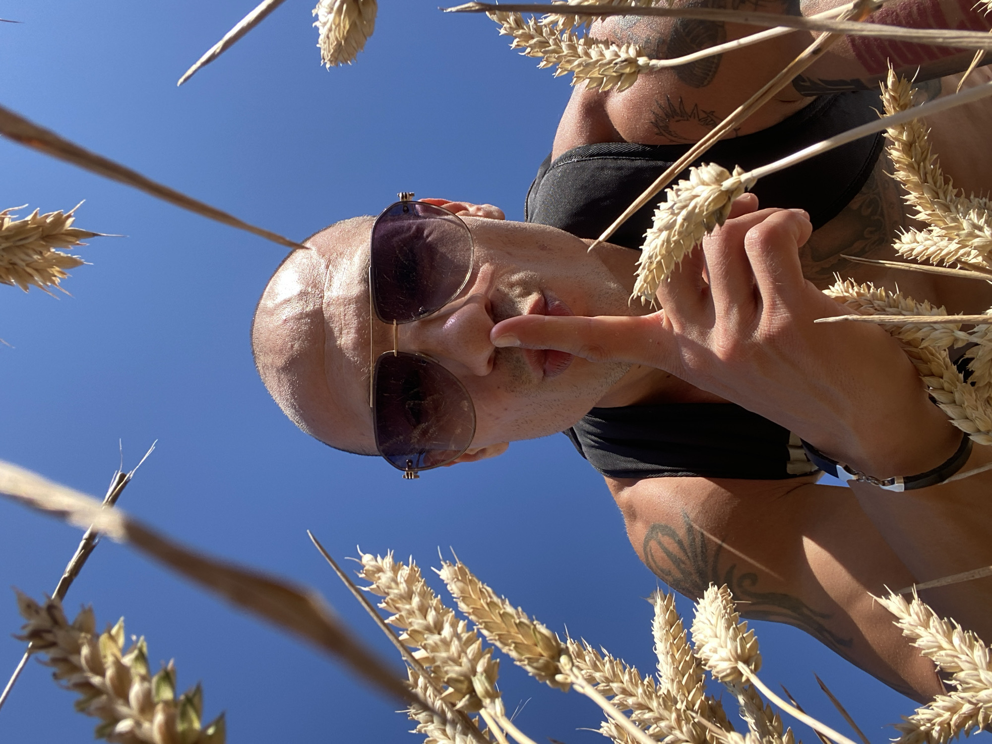 A close-up, low-angle shot shows a person looking up at the sky through wheat stalks. The person, who appears to be male, is wearing sunglasses and has a shaved head. Their left hand is raised, with a finger touching their nose. The person has visible tattoos on their arms and shoulders. The background is a clear blue sky, suggesting a sunny day. The scene is set in a field of ripe wheat. The overall mood is relaxed and perhaps a bit playful, with the subject seemingly enjoying the outdoors. The lighting indicates it is daytime, likely late morning or early afternoon given the strong sunlight. The location is identified as Pleven, Bulgaria, suggesting a rural or agricultural setting. There is no visible text in the image.