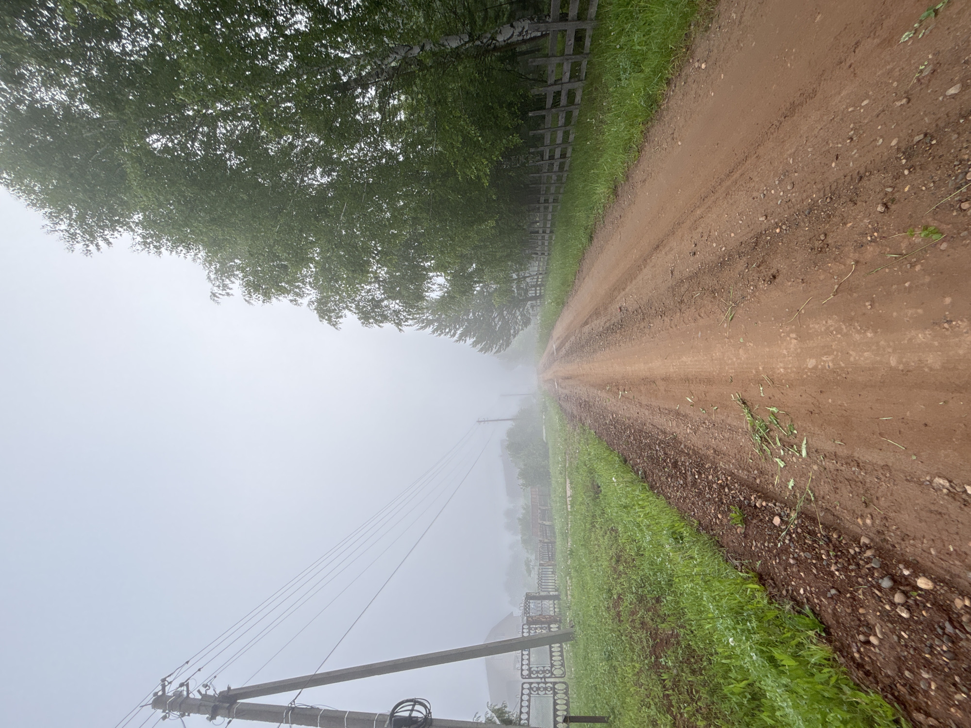 A rural landscape is captured on a heavily foggy day, with a reddish-brown dirt road stretching directly into the distance. The image, originally rotated, depicts the road receding between verdant green grass verges.
On the left side of the road, a robust wooden fence runs parallel, partially obscured by a dense line of tall trees, some appearing to be birches with their characteristic white bark, their leafy green canopies extending upwards. On the right side, a series of wooden utility poles with multiple power lines extends into the receding fog. Further down this side, an ornate dark metal fence with decorative patterns is faintly visible through the thick mist.
The atmosphere is dominated by a pervasive, dense fog that creates a uniform grey-white haze, significantly reducing visibility towards the horizon where the road and distant features gradually fade from view. The diffused light suggests an overcast daytime setting, though the exact time is obscured by the weather. There are tire tracks visible on the dirt road, along with scattered small stones and pebbles. No people or specific activities are depicted, giving the scene a tranquil and solitary feel, characteristic of a country road in Большой Букор, Russia, during a foggy day. No visible text is present.