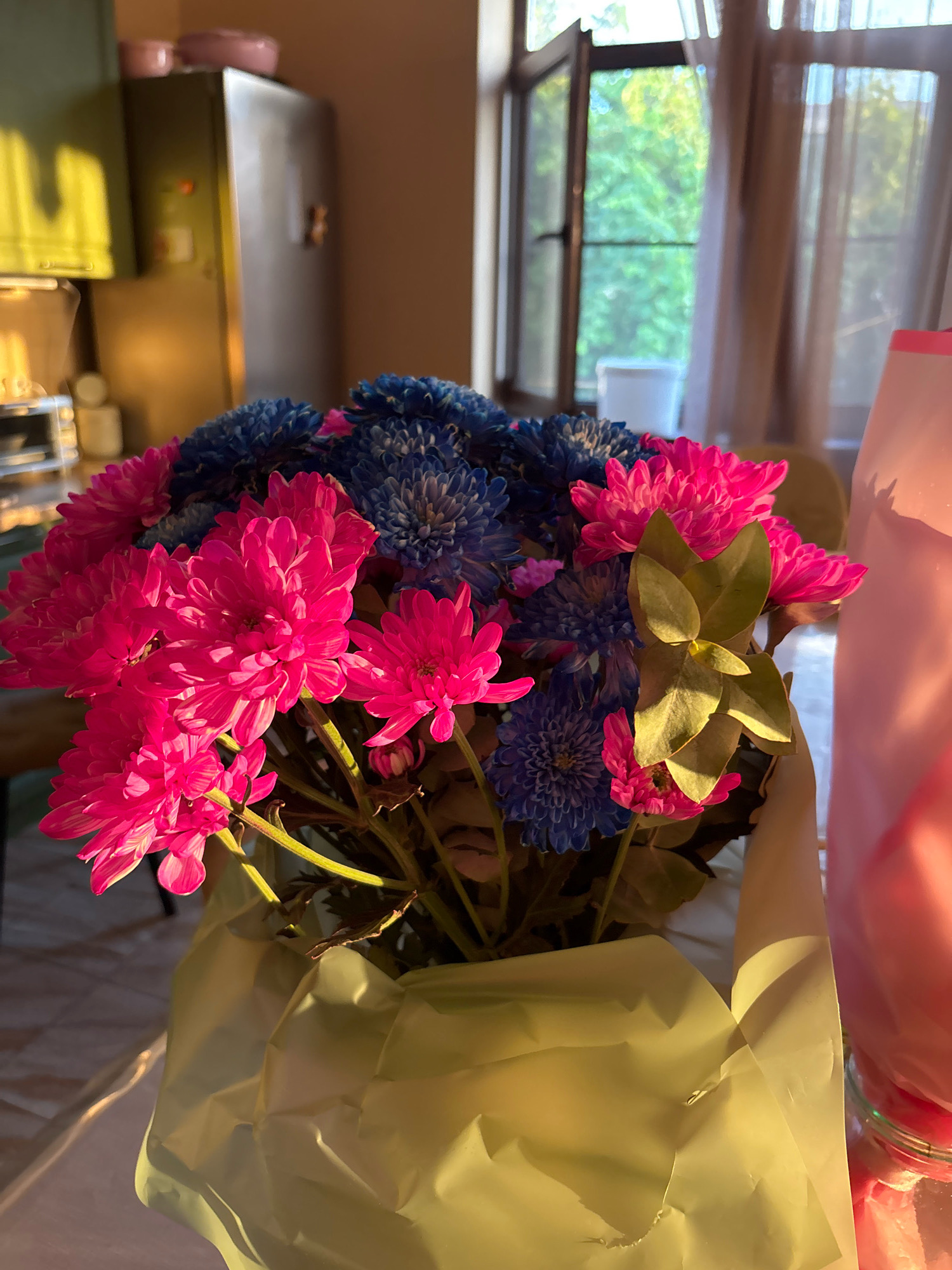 In an interior setting, a bouquet of vibrant pink and blue chrysanthemums is prominently displayed in the foreground. The flowers are arranged in a large, crinkled light yellow paper wrap, which partially obscures the lower portion of the bouquet. Behind the flowers, a window with sheer white curtains allows natural light to stream in, illuminating the scene and casting warm shadows. Through the window, lush green trees are visible, suggesting an outdoor environment beyond. To the left of the flowers, a metallic appliance, possibly a refrigerator or cabinet, is visible. The overall impression is a brightly lit indoor space with a focus on the colorful floral arrangement.