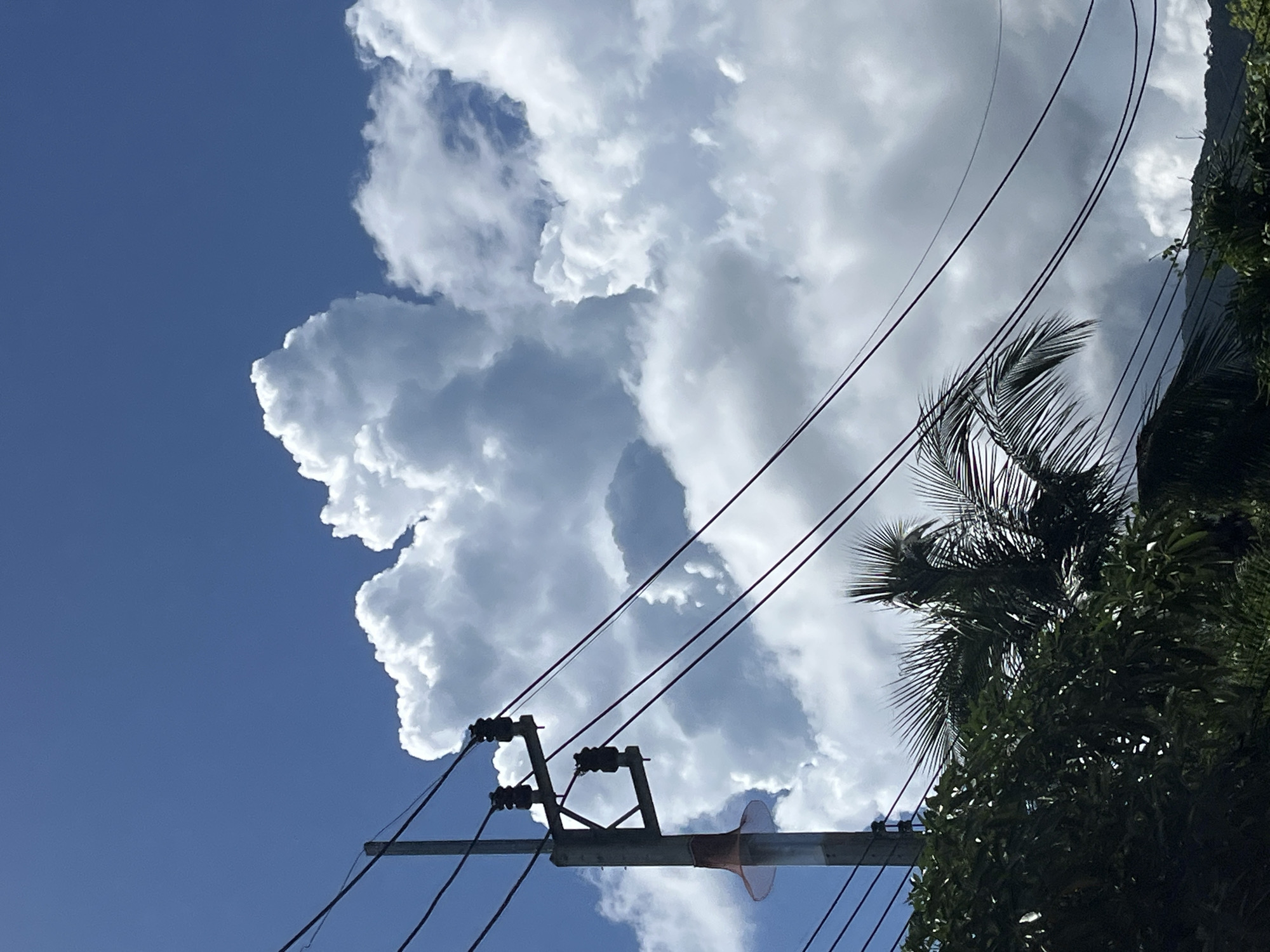 The image depicts a cloudy sky with a power pole in the foreground. The power pole has insulators and wires running from it. In the lower part of the image, there are some trees, including a palm tree. The sky is a bright blue with large, fluffy white clouds. The scene appears to be in a tropical or subtropical region, possibly ตำบลเกาะพะงัน, Thailand, given the presence of palm trees and lush vegetation.