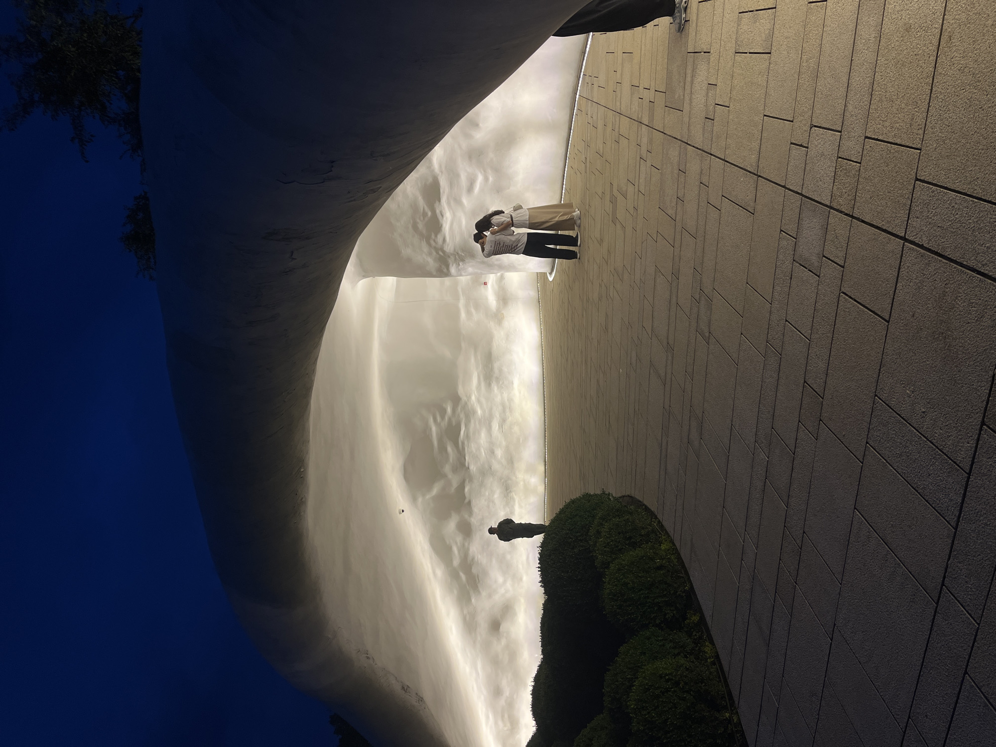 The image, when viewed upright, portrays a modern architectural space at night in Krasnodar, Russia. On the left, a large, curving wall features a textured, light-colored surface that is brightly illuminated, creating a dramatic, cloud-like backdrop. To the right, a paved pathway or plaza stretches into the distance, composed of a geometric pattern of light-brown rectangular and square tiles.
Two individuals, appearing to be a couple, are positioned in the mid-ground on the paved area, standing close together and seemingly embracing or in intimate conversation, facing the illuminated wall. The man is dressed in a light-colored t-shirt and dark pants, while the woman wears a light top and a long beige skirt. Further down the path, in the lower left foreground, a solitary figure stands behind a row of manicured green bushes, also observing the striking illuminated structure. A small, white, possibly cylindrical object, likely a light fixture, is visible on the textured wall near the solitary figure.
The sky on the far left is a deep, dark blue, confirming the nighttime setting. Sparse dark tree foliage is visible against the night sky in the upper left. The scene is bathed in artificial light, highlighting the architectural form and the presence of the people. There is no visible text within the image.