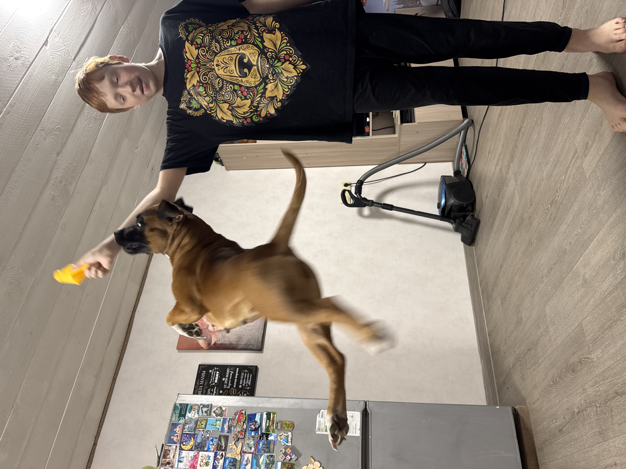 A boy in a black t-shirt with a graphic design on the front is holding a yellow toy, teasing a boxer dog that is mid-jump in what appears to be a kitchen. The boy is wearing black pants and is barefoot. A vacuum cleaner stands behind him. The refrigerator is covered in magnets and there's a framed picture on the wall. The kitchen appears to be in a home in Chaikovsky, Russia, as indicated by a sign on the refrigerator: "ВИЛА МАМЫ" (MOM'S VILLA).