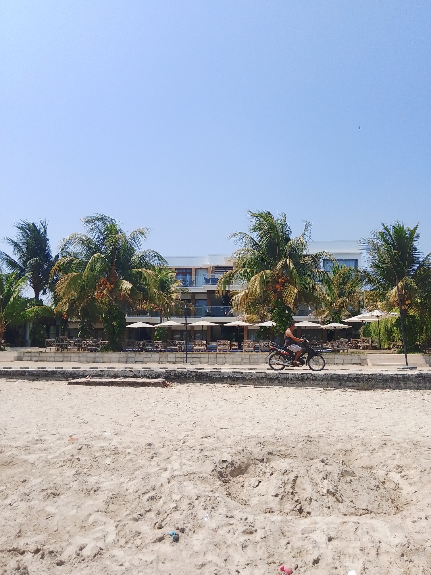 The image depicts a sunny day at a beachside resort in Tegalsambi, Indonesia. In the foreground, the sandy beach stretches out, with some debris scattered on the surface. A raised, paved walkway runs along the edge of the beach, separating it from the resort area. A man is riding a motorcycle along this walkway, wearing a dark tank top and light-colored shorts. Behind the walkway, a resort building with multiple levels is visible, featuring balconies and large windows. Several palm trees with coconuts are scattered in front of the building, casting shadows on the resort's outdoor seating area, which includes tables, chairs, and white umbrellas. The sky is clear and blue, indicating good weather.
